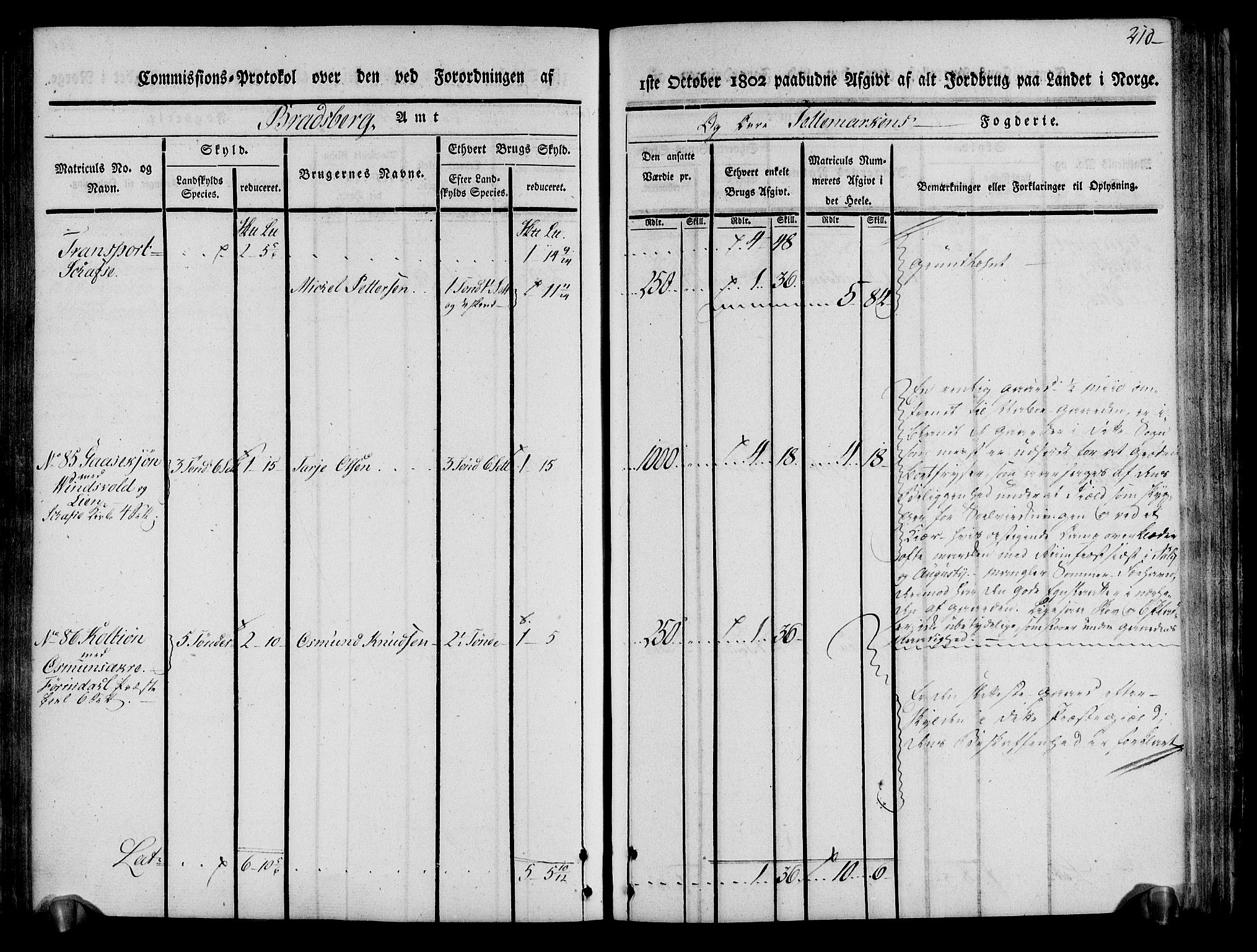 Rentekammeret inntil 1814, Realistisk ordnet avdeling, AV/RA-EA-4070/N/Ne/Nea/L0075: Øvre Telemarken fogderi. Kommisjonsprotokoll for fogderiets vestre del - Kviteseid, Vinje, Moland [):Fyresdal] og Lårdal prestegjeld., 1803, p. 212