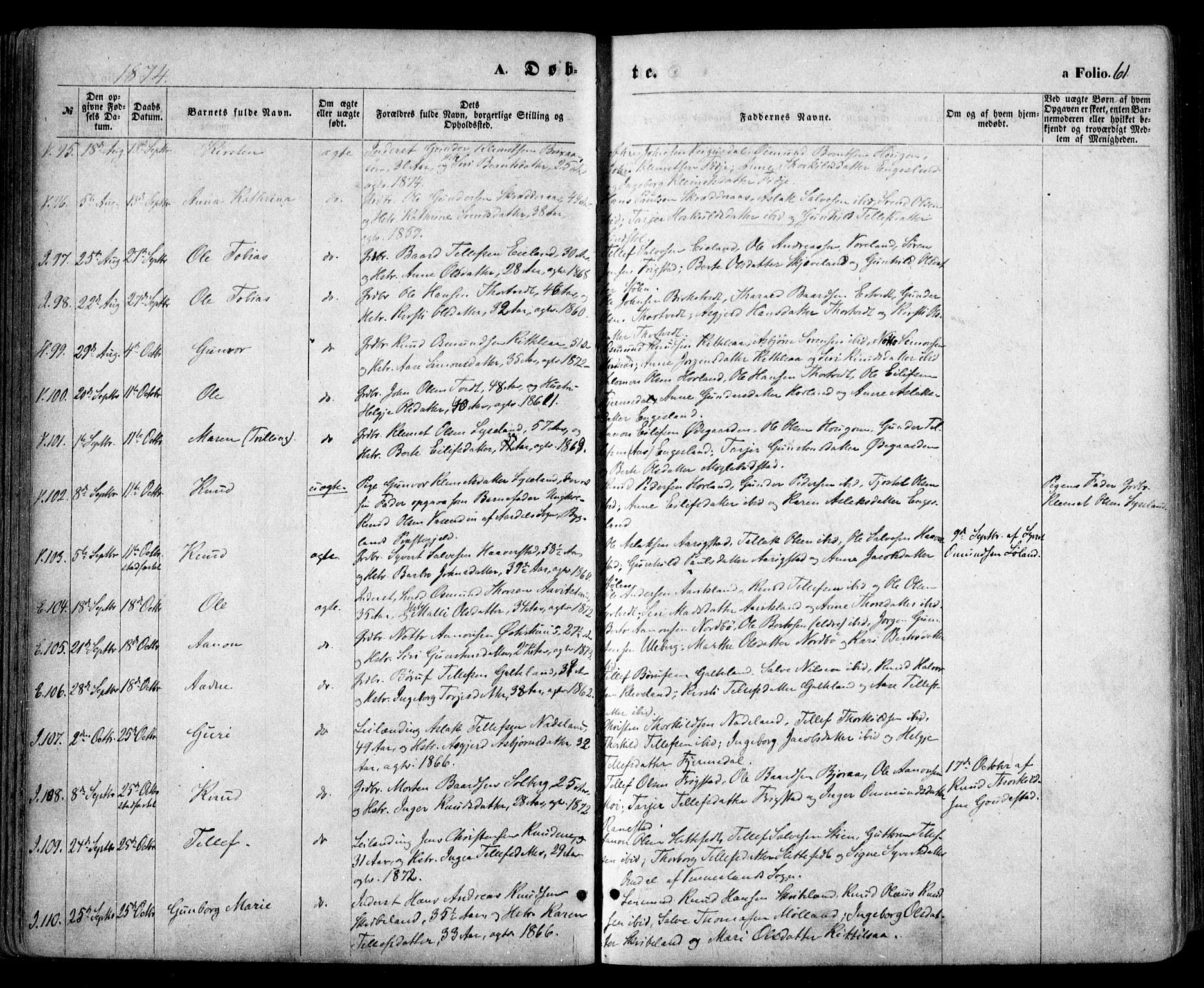 Evje sokneprestkontor, AV/SAK-1111-0008/F/Fa/Faa/L0006: Parish register (official) no. A 6, 1866-1884, p. 61