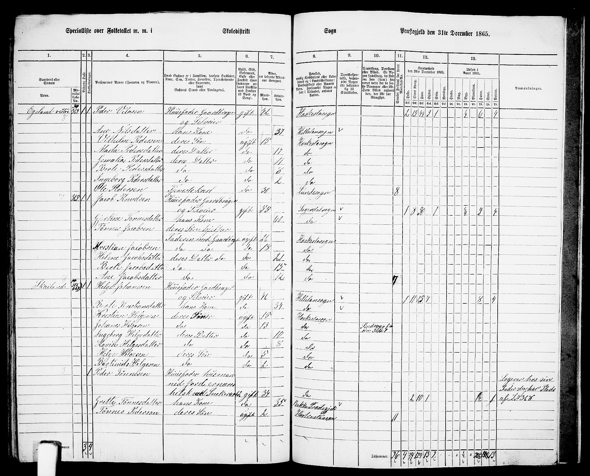 RA, 1865 census for Lund, 1865, p. 104