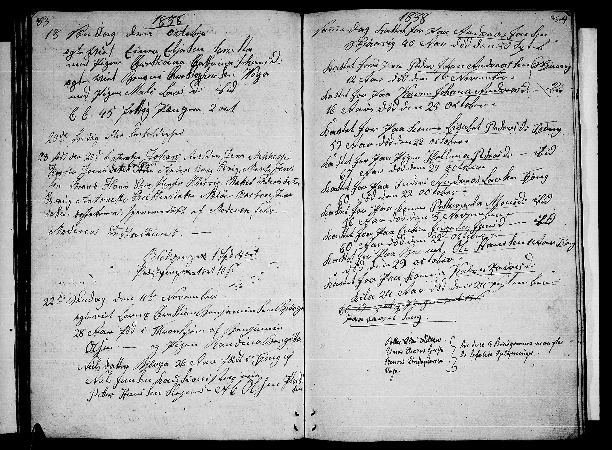 Ministerialprotokoller, klokkerbøker og fødselsregistre - Nordland, SAT/A-1459/841/L0618: Parish register (copy) no. 841C02, 1833-1855, p. 83-84