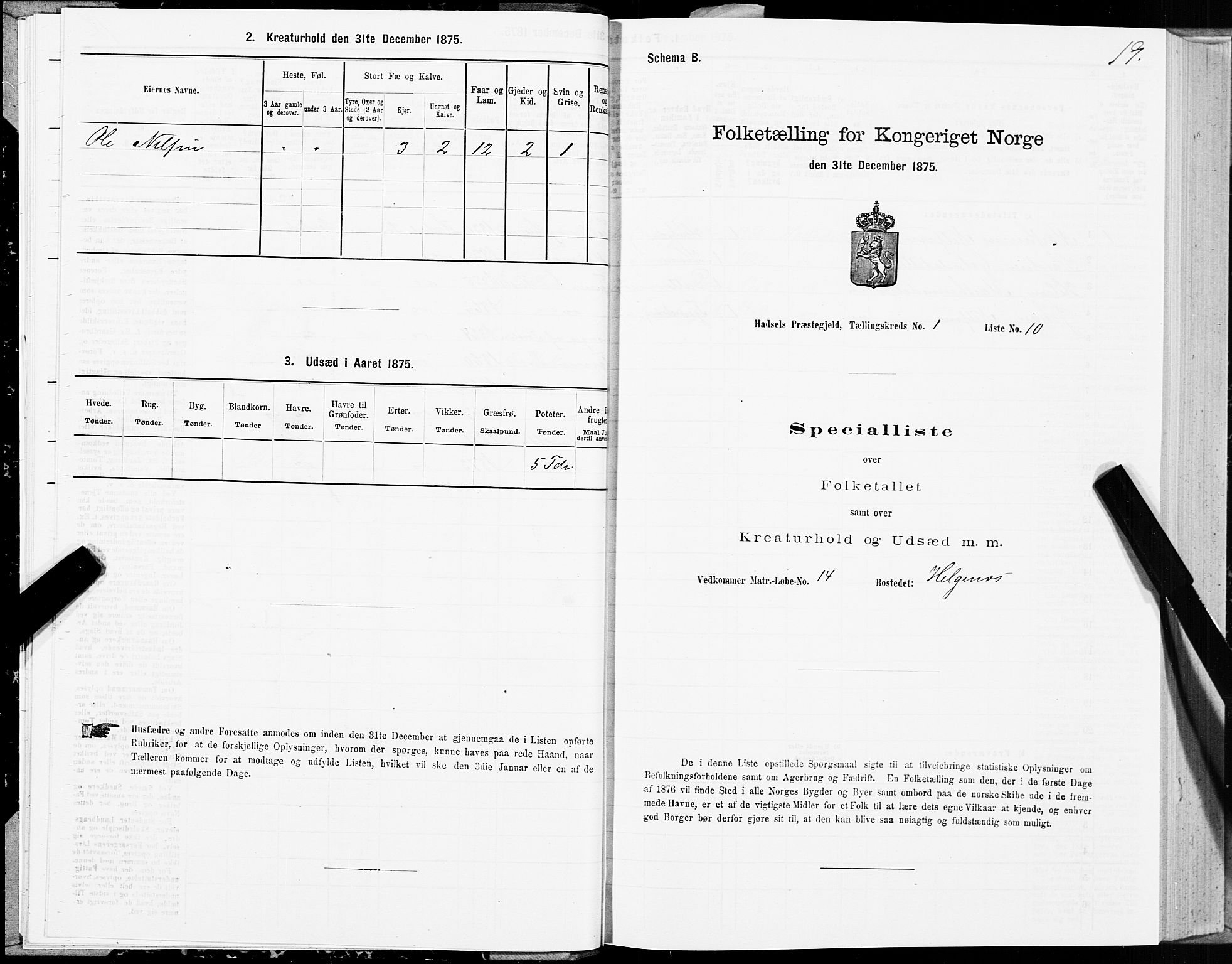 SAT, 1875 census for 1866P Hadsel, 1875, p. 1019