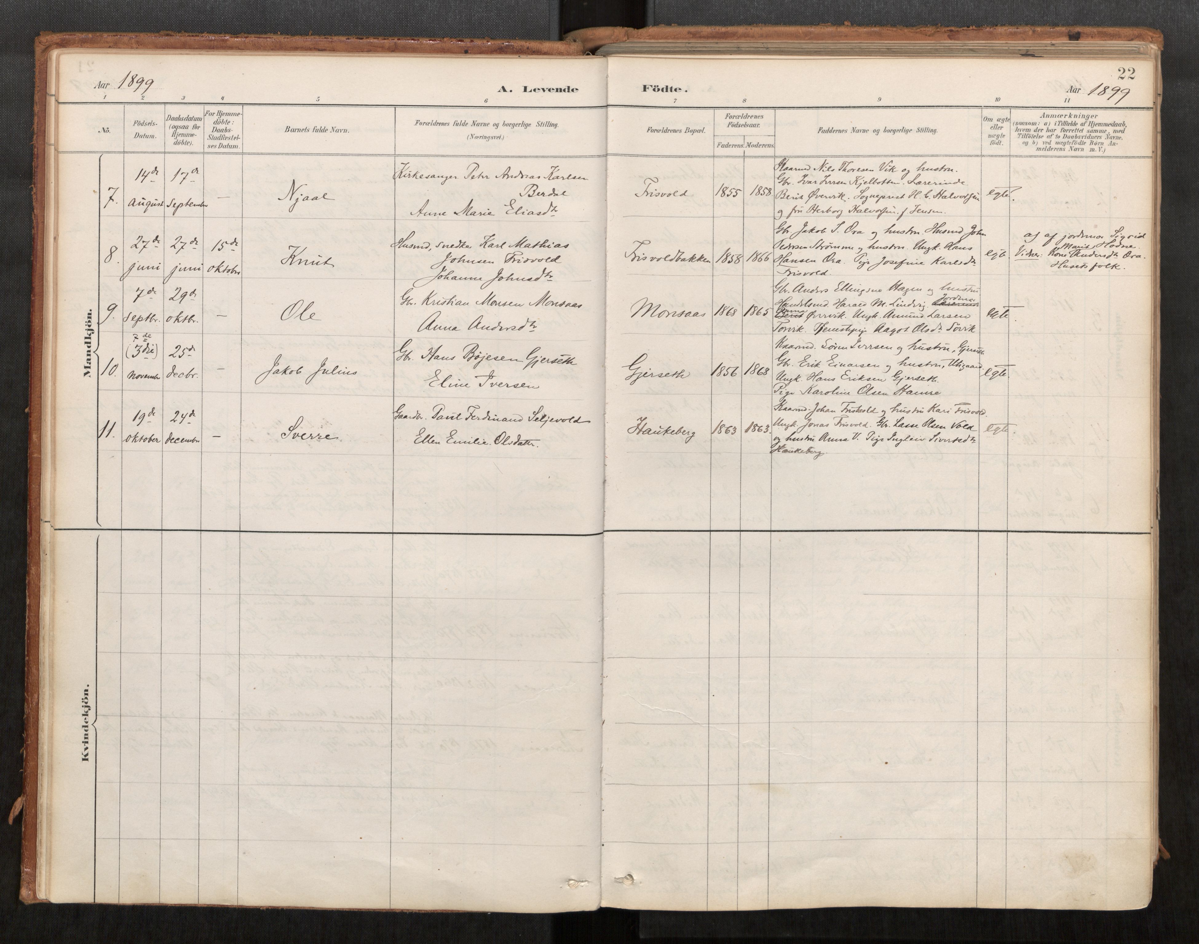 Ministerialprotokoller, klokkerbøker og fødselsregistre - Møre og Romsdal, AV/SAT-A-1454/542/L0553: Parish register (official) no. 542A03, 1885-1925, p. 22