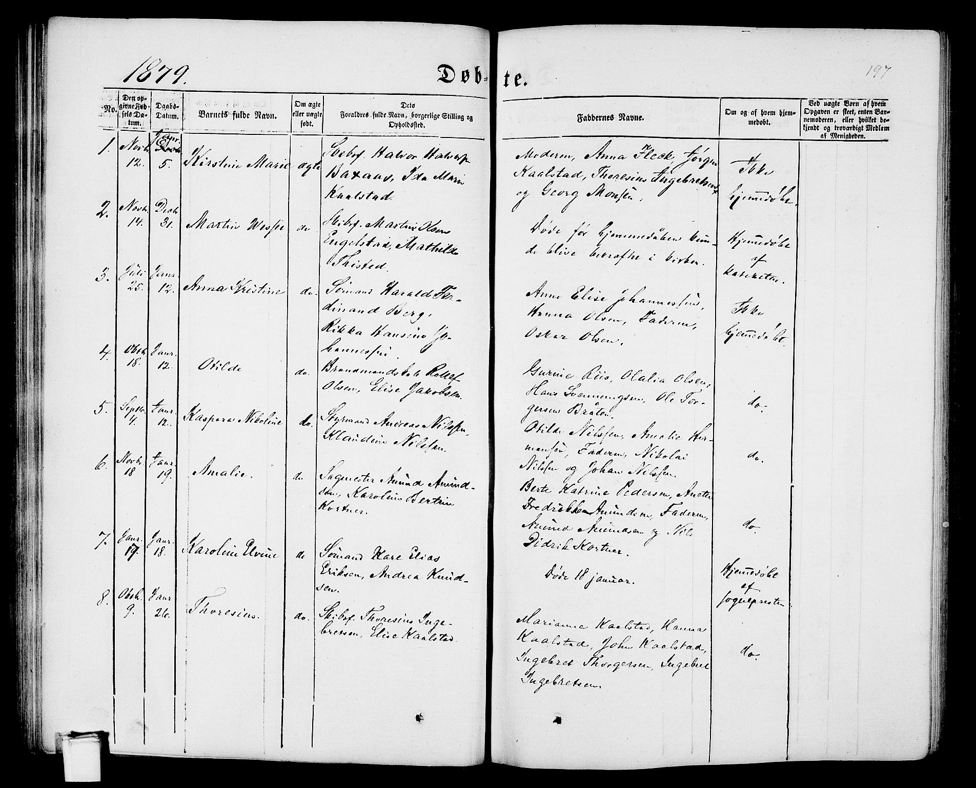 Porsgrunn kirkebøker , AV/SAKO-A-104/G/Gb/L0004: Parish register (copy) no. II 4, 1853-1882, p. 197