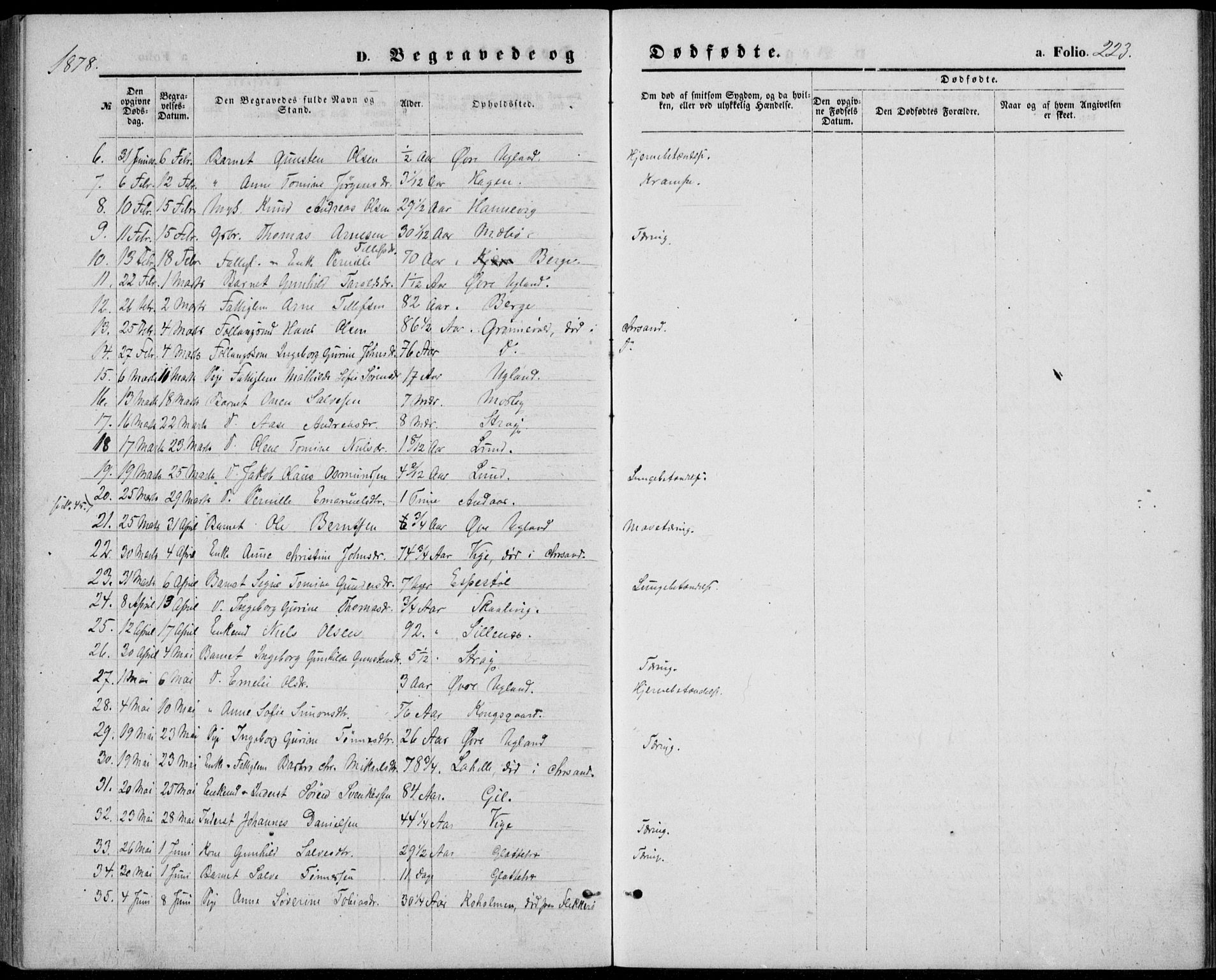 Oddernes sokneprestkontor, SAK/1111-0033/F/Fb/Fba/L0007: Parish register (copy) no. B 7, 1869-1887, p. 223