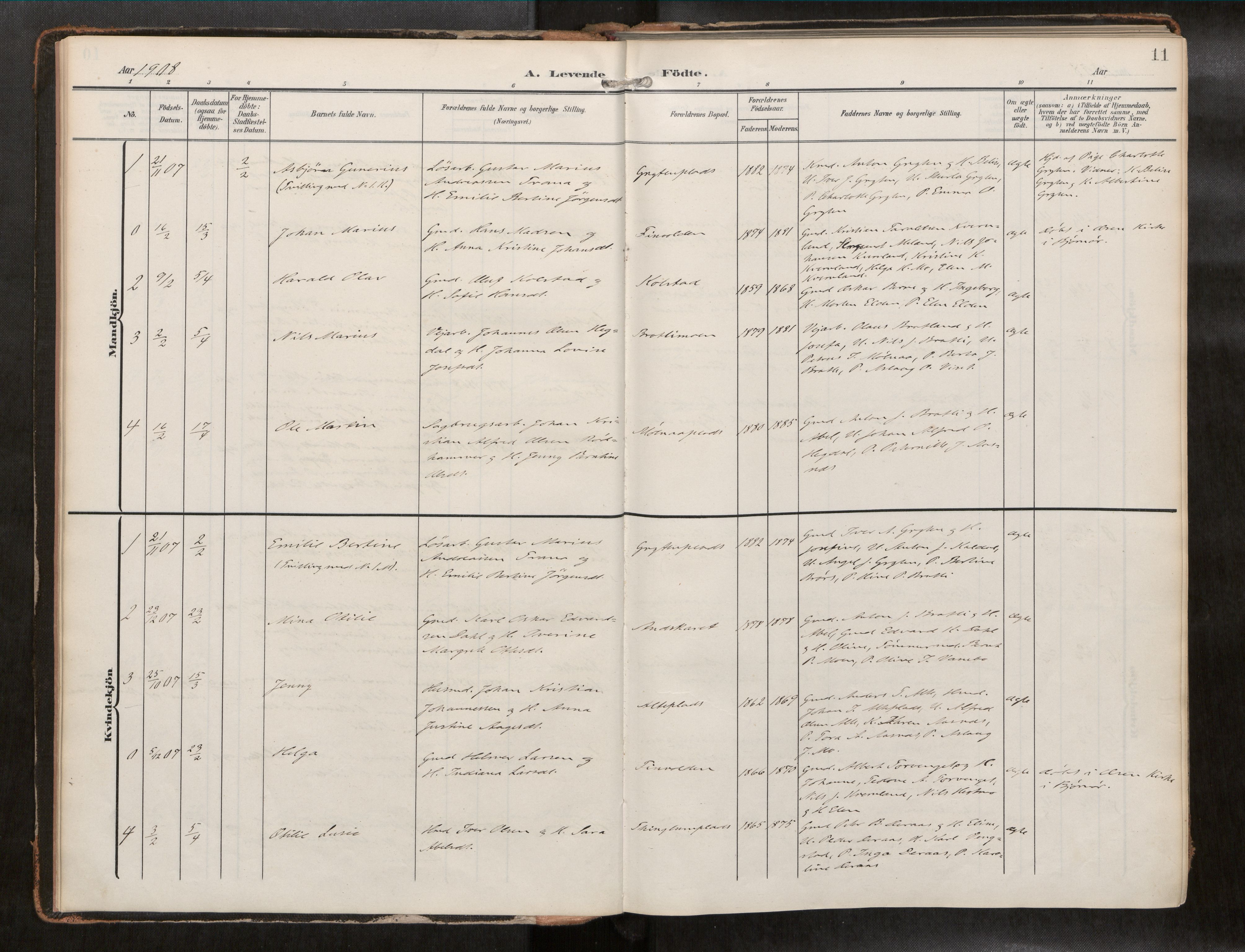 Ministerialprotokoller, klokkerbøker og fødselsregistre - Nord-Trøndelag, SAT/A-1458/742/L0409a: Parish register (official) no. 742A03, 1906-1924, p. 11