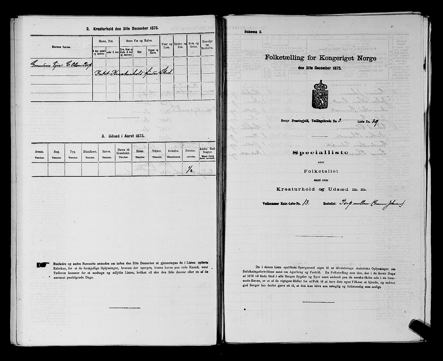 RA, 1875 census for 0113P Borge, 1875, p. 466