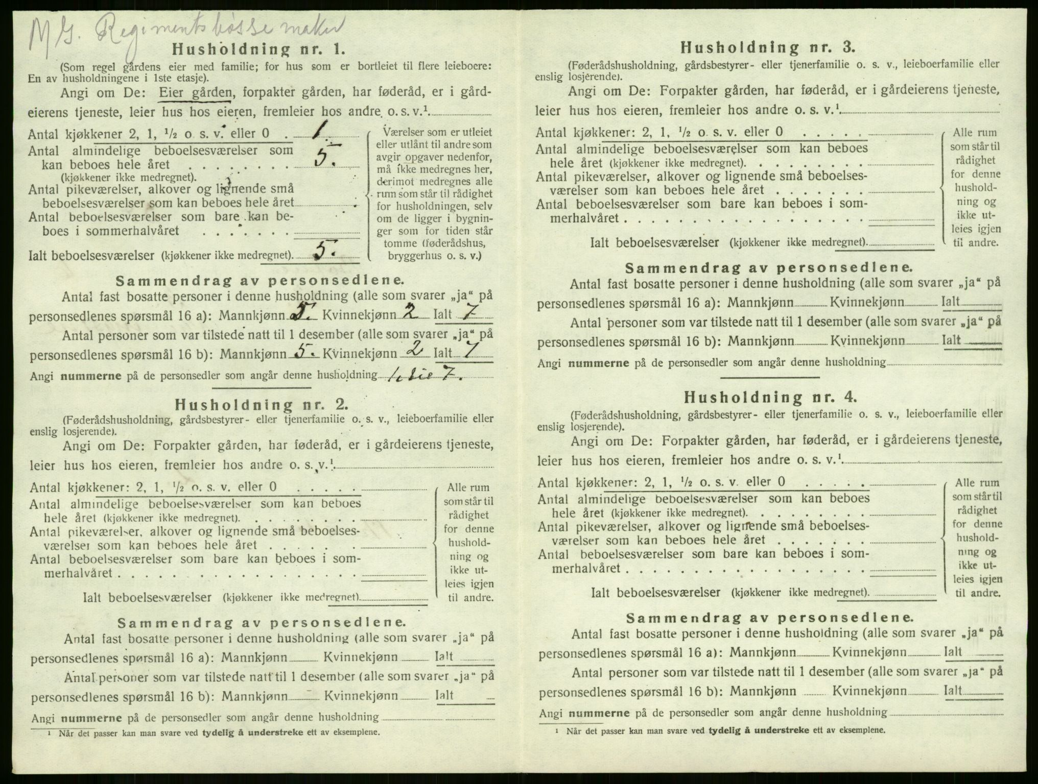 SAKO, 1920 census for Botne, 1920, p. 847