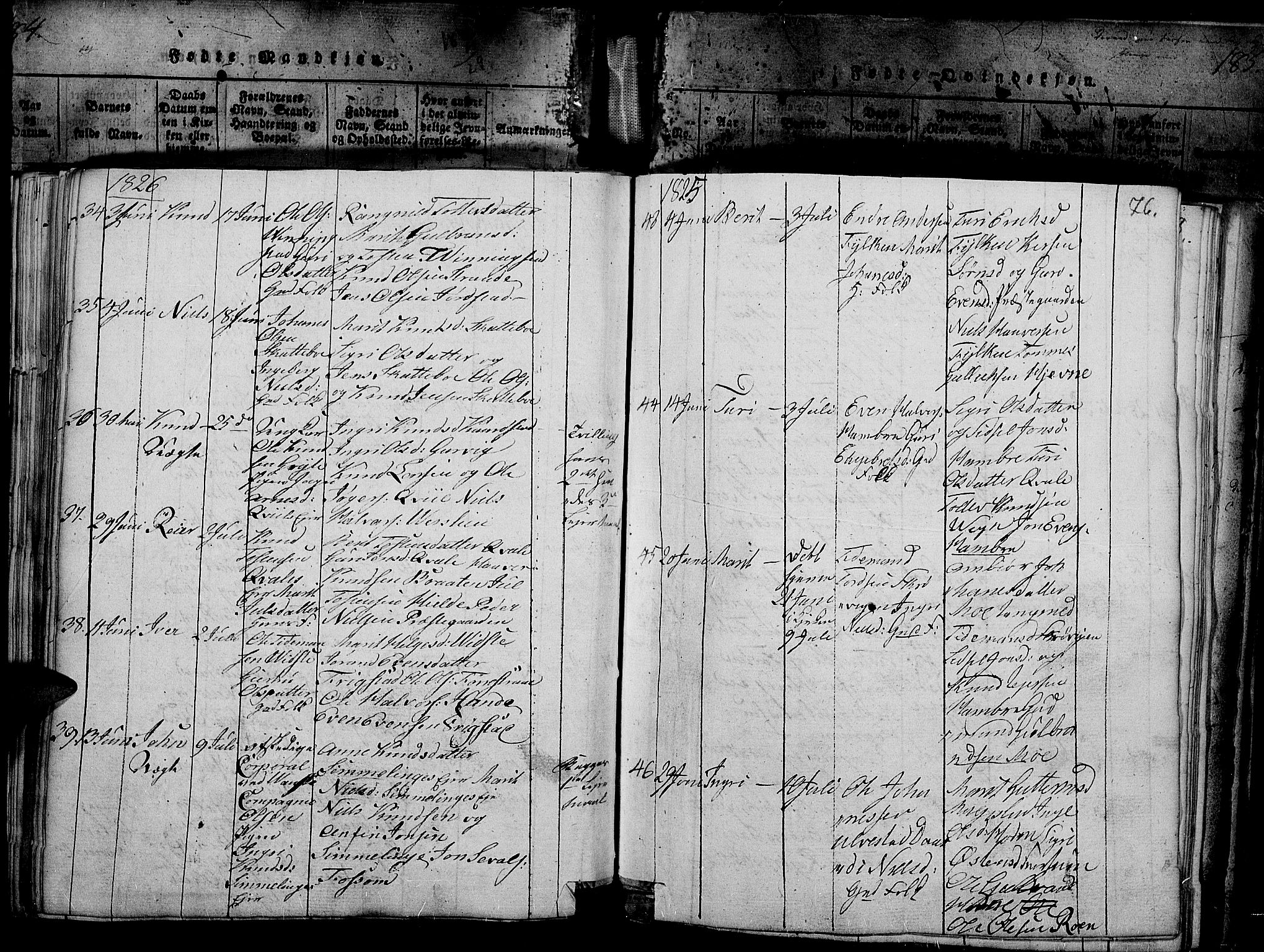 Slidre prestekontor, AV/SAH-PREST-134/H/Ha/Haa/L0002: Parish register (official) no. 2, 1814-1830, p. 186z