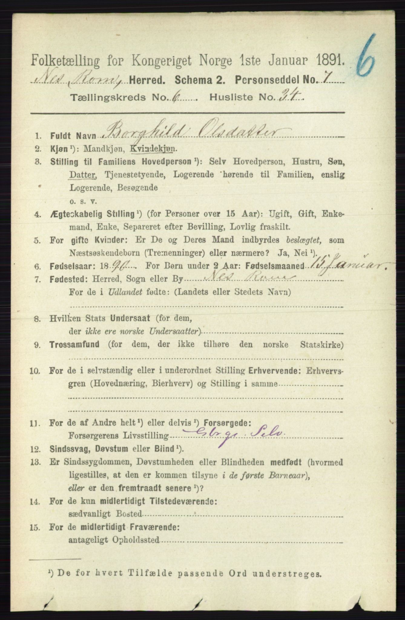 RA, 1891 census for 0236 Nes, 1891, p. 3600
