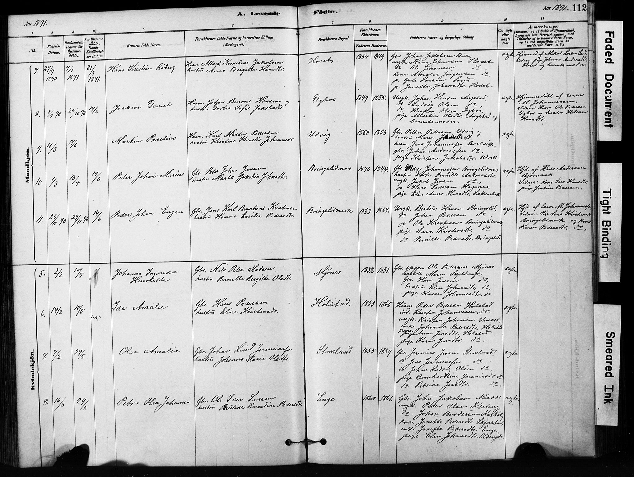 Ministerialprotokoller, klokkerbøker og fødselsregistre - Nordland, AV/SAT-A-1459/852/L0754: Parish register (copy) no. 852C05, 1878-1894, p. 112