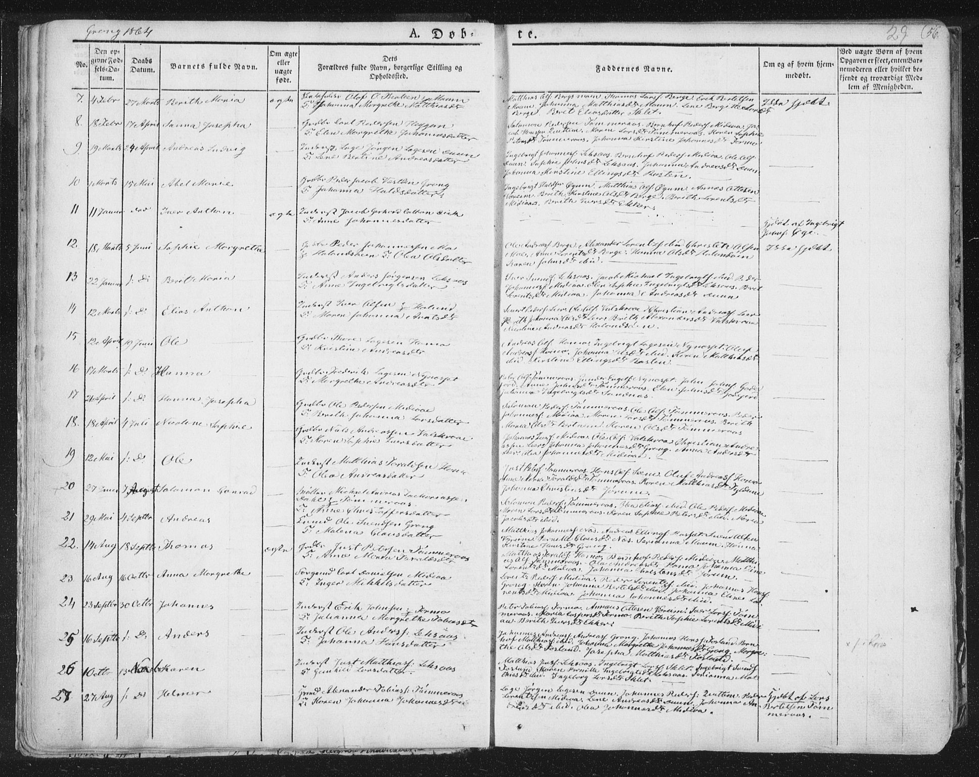 Ministerialprotokoller, klokkerbøker og fødselsregistre - Nord-Trøndelag, SAT/A-1458/758/L0513: Parish register (official) no. 758A02 /1, 1839-1868, p. 29