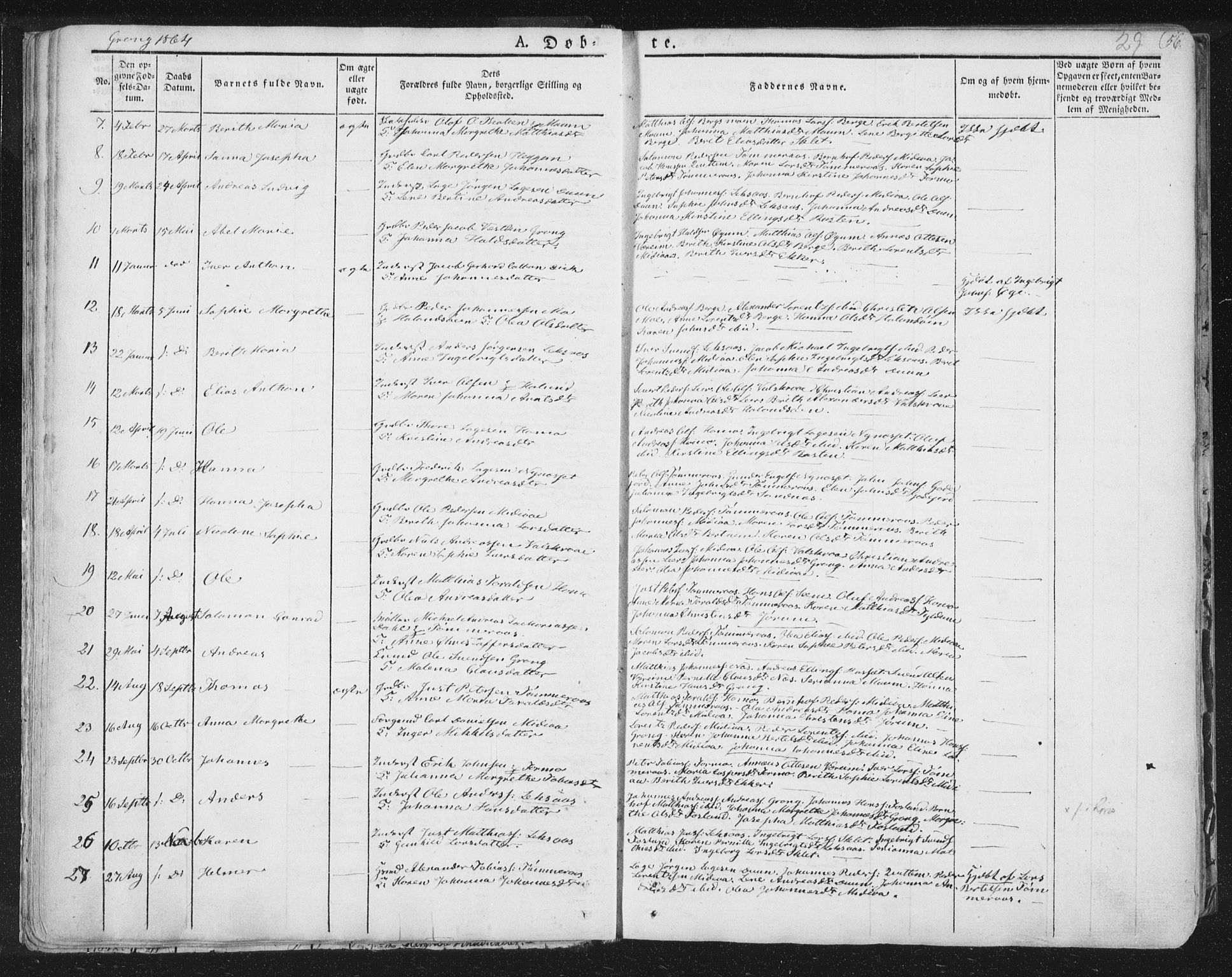 Ministerialprotokoller, klokkerbøker og fødselsregistre - Nord-Trøndelag, AV/SAT-A-1458/758/L0513: Parish register (official) no. 758A02 /1, 1839-1868, p. 29