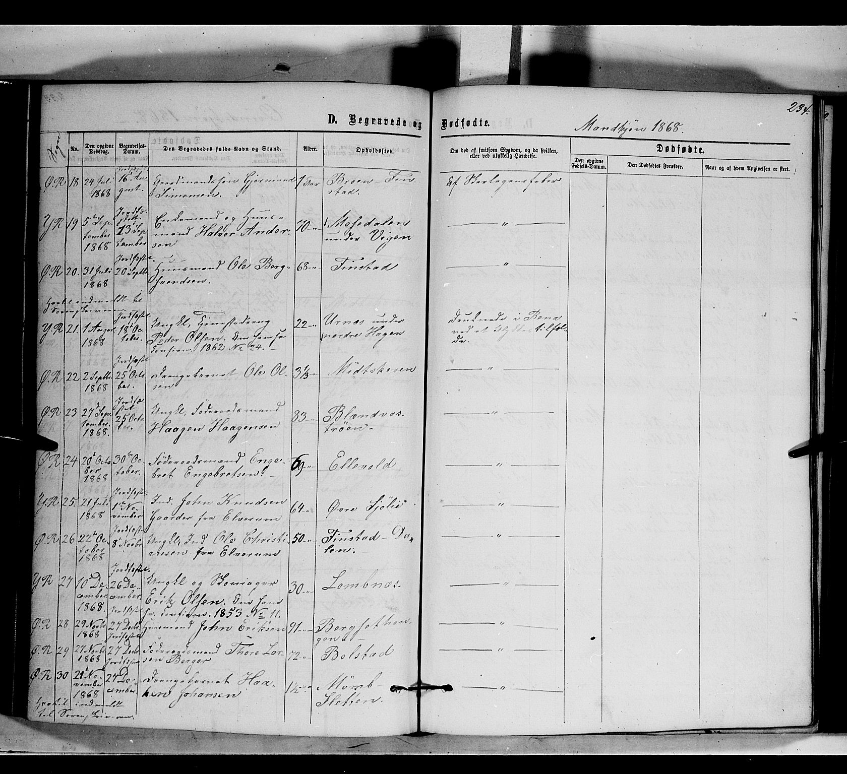 Rendalen prestekontor, AV/SAH-PREST-054/H/Ha/Haa/L0006: Parish register (official) no. 6, 1867-1877, p. 234