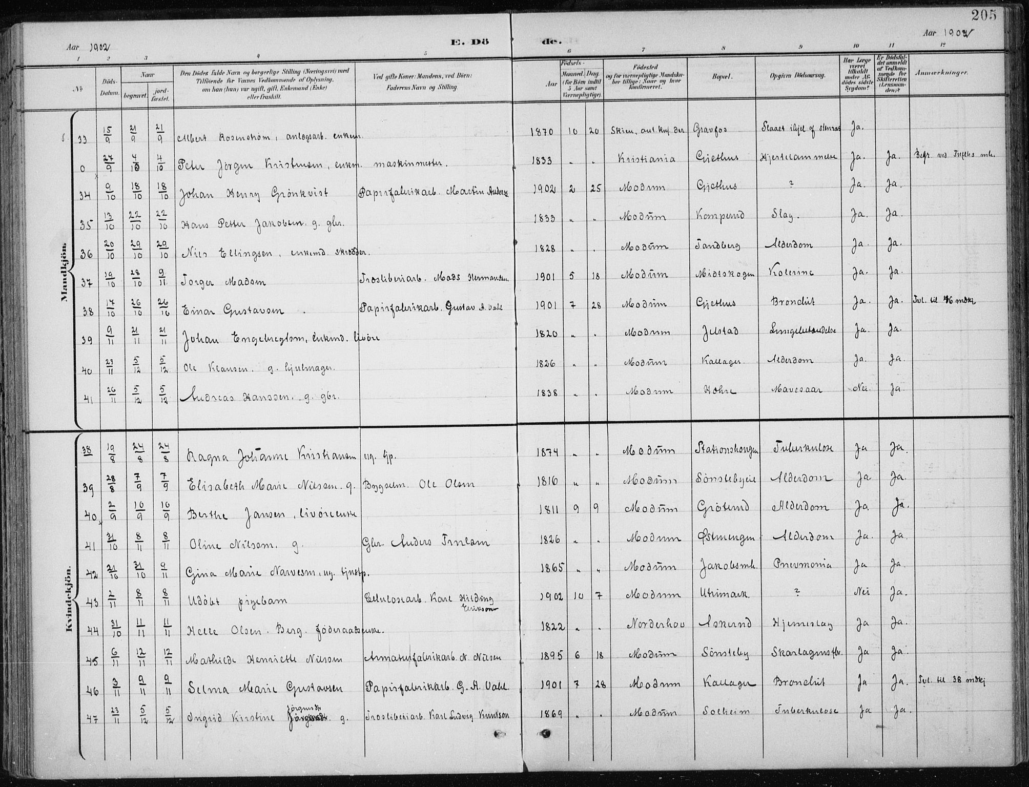 Modum kirkebøker, AV/SAKO-A-234/F/Fa/L0013: Parish register (official) no. 13, 1899-1907, p. 205