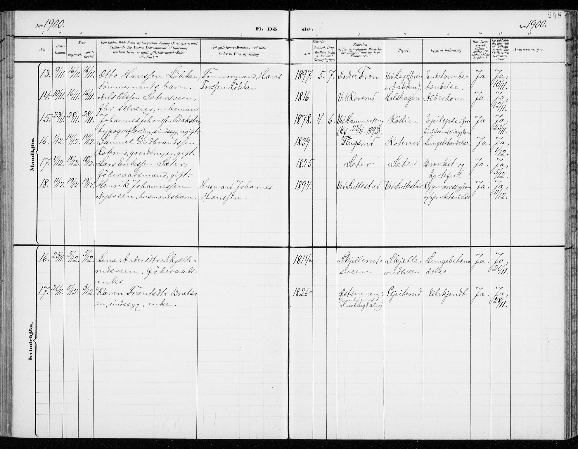 Fåberg prestekontor, SAH/PREST-086/H/Ha/Haa/L0011: Parish register (official) no. 11, 1899-1913, p. 248