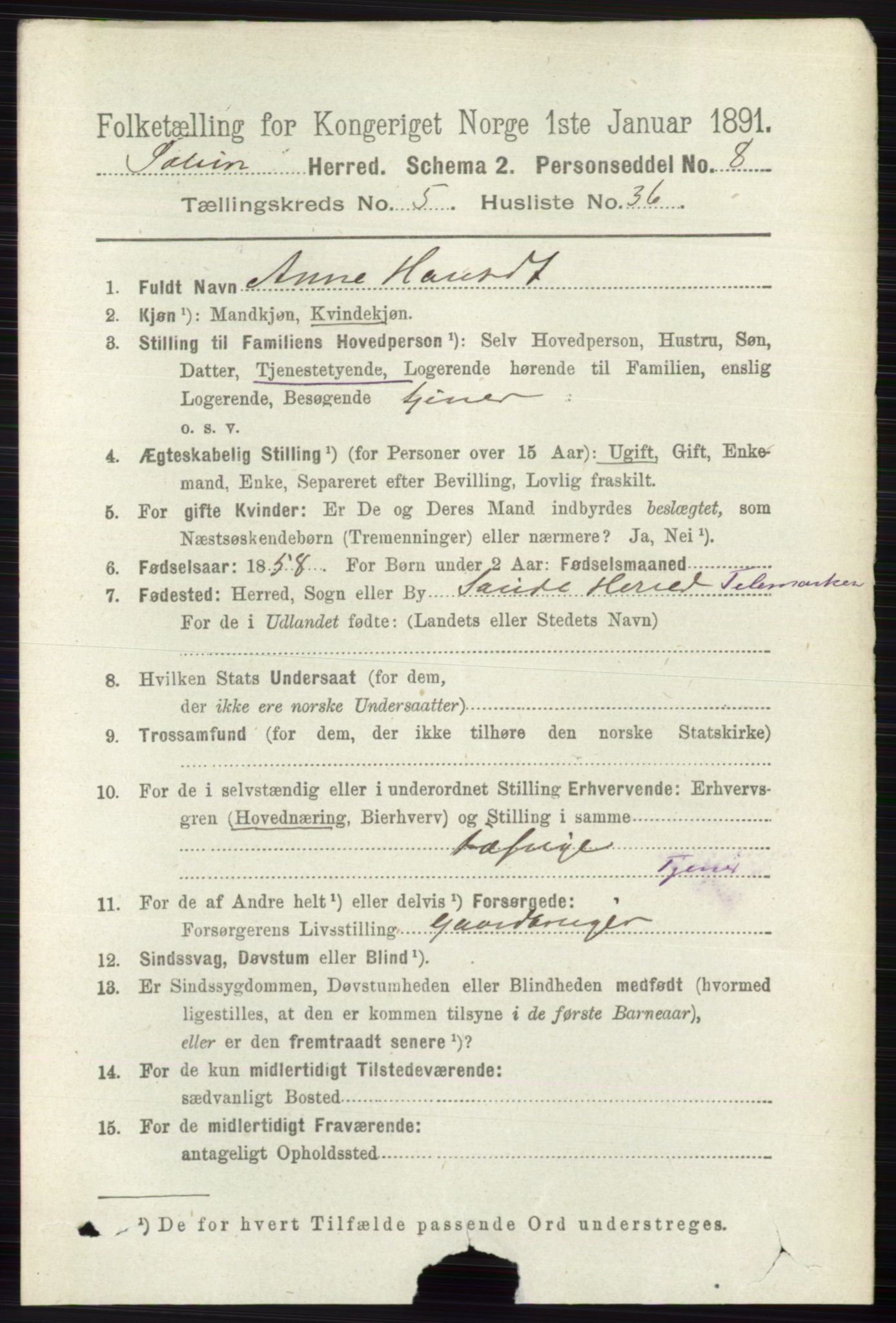 RA, 1891 census for 0818 Solum, 1891, p. 1062