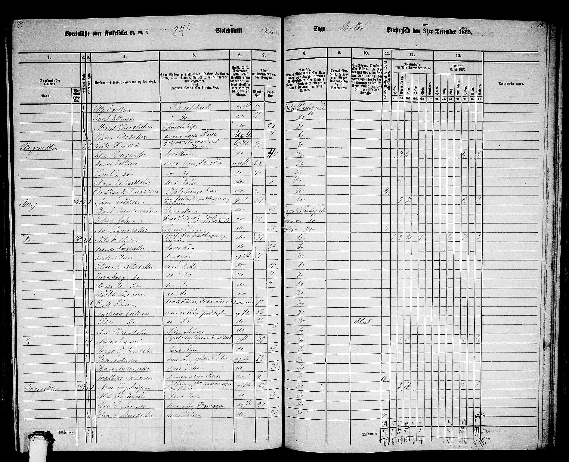 RA, 1865 census for Bolsøy, 1865, p. 78