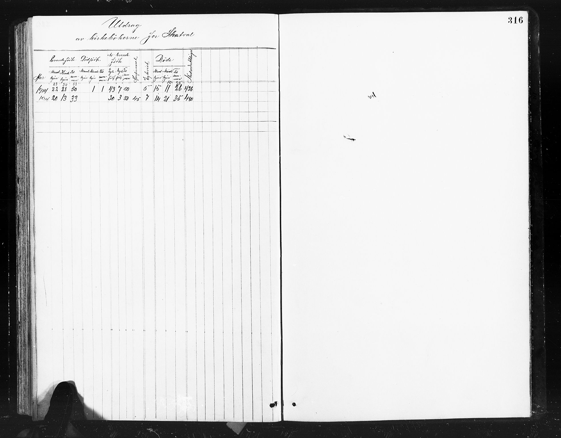 Ministerialprotokoller, klokkerbøker og fødselsregistre - Nord-Trøndelag, SAT/A-1458/712/L0103: Parish register (copy) no. 712C01, 1878-1917, p. 316