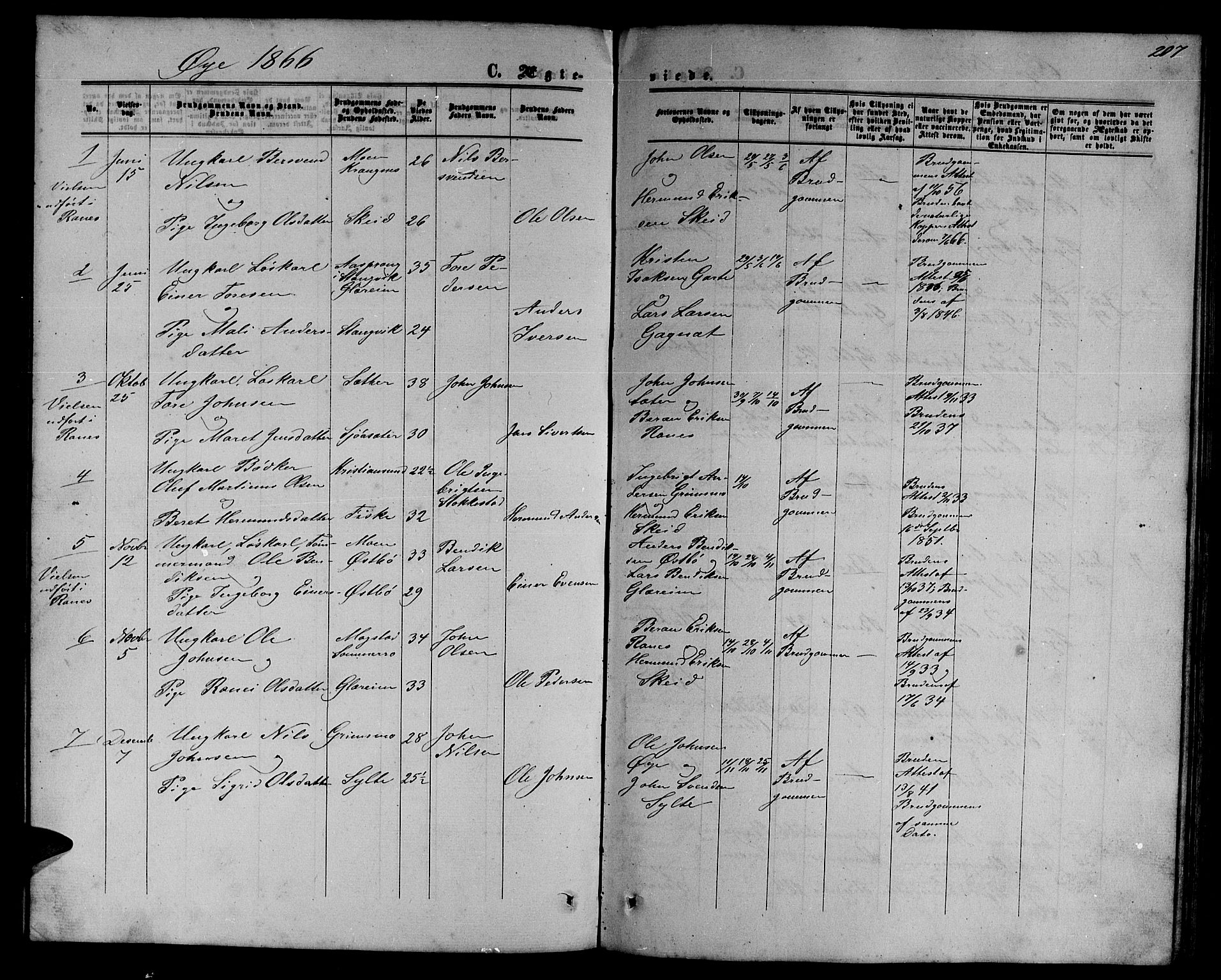 Ministerialprotokoller, klokkerbøker og fødselsregistre - Møre og Romsdal, AV/SAT-A-1454/595/L1051: Parish register (copy) no. 595C03, 1866-1891, p. 207