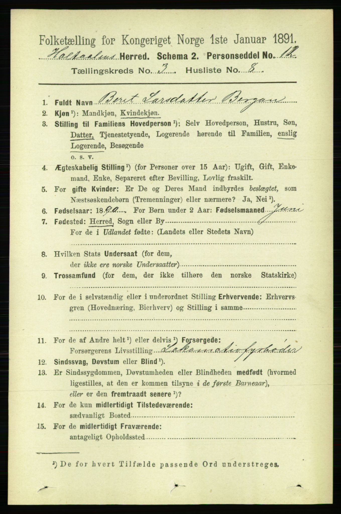 RA, 1891 census for 1645 Haltdalen, 1891, p. 899
