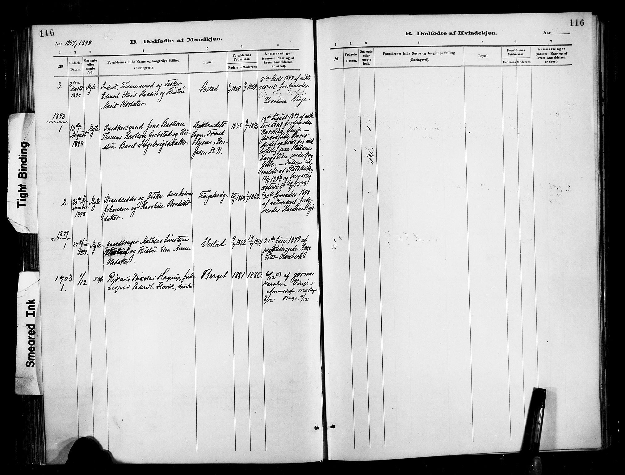Ministerialprotokoller, klokkerbøker og fødselsregistre - Møre og Romsdal, SAT/A-1454/566/L0769: Parish register (official) no. 566A08, 1881-1903, p. 116
