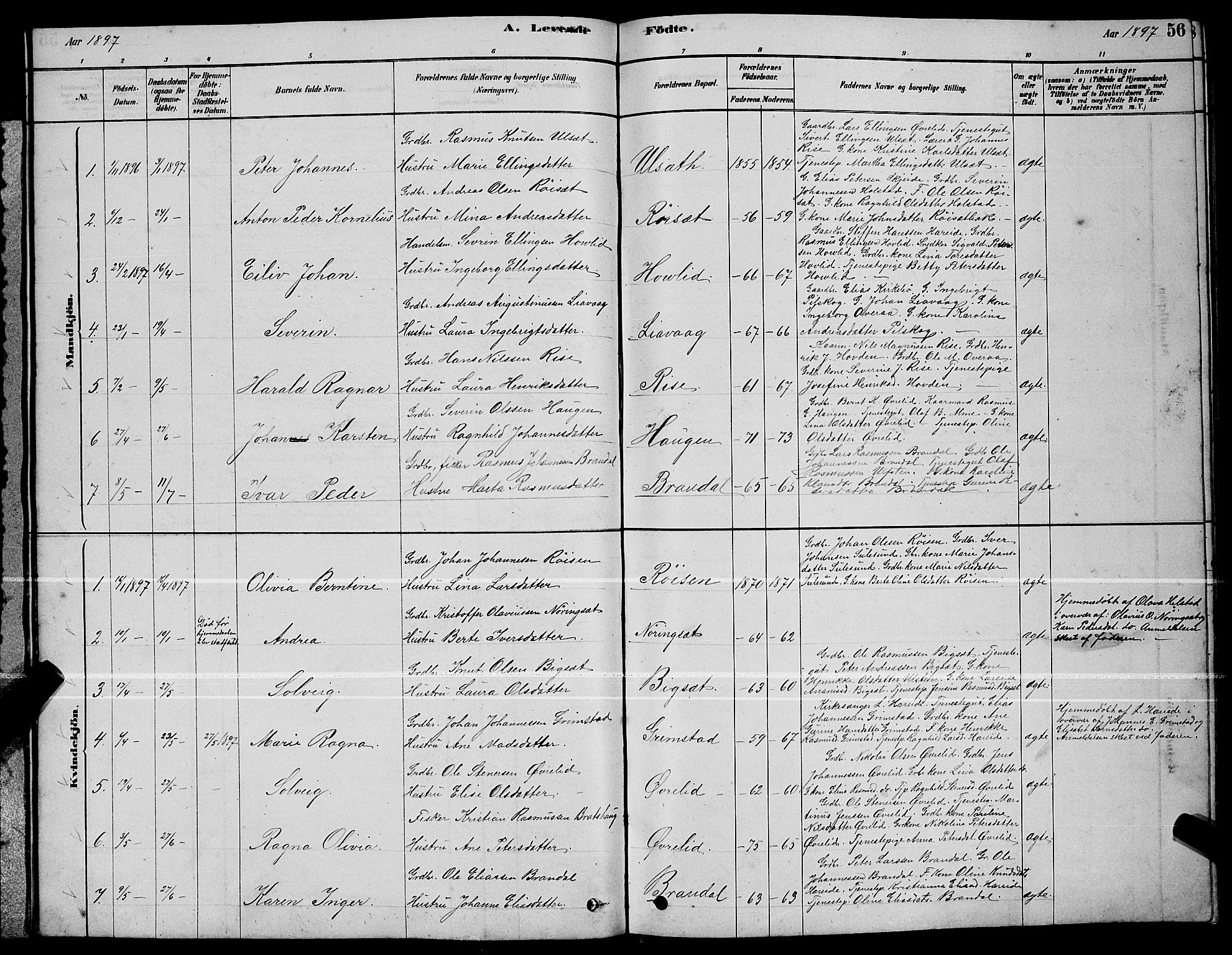 Ministerialprotokoller, klokkerbøker og fødselsregistre - Møre og Romsdal, AV/SAT-A-1454/510/L0125: Parish register (copy) no. 510C02, 1878-1900, p. 56