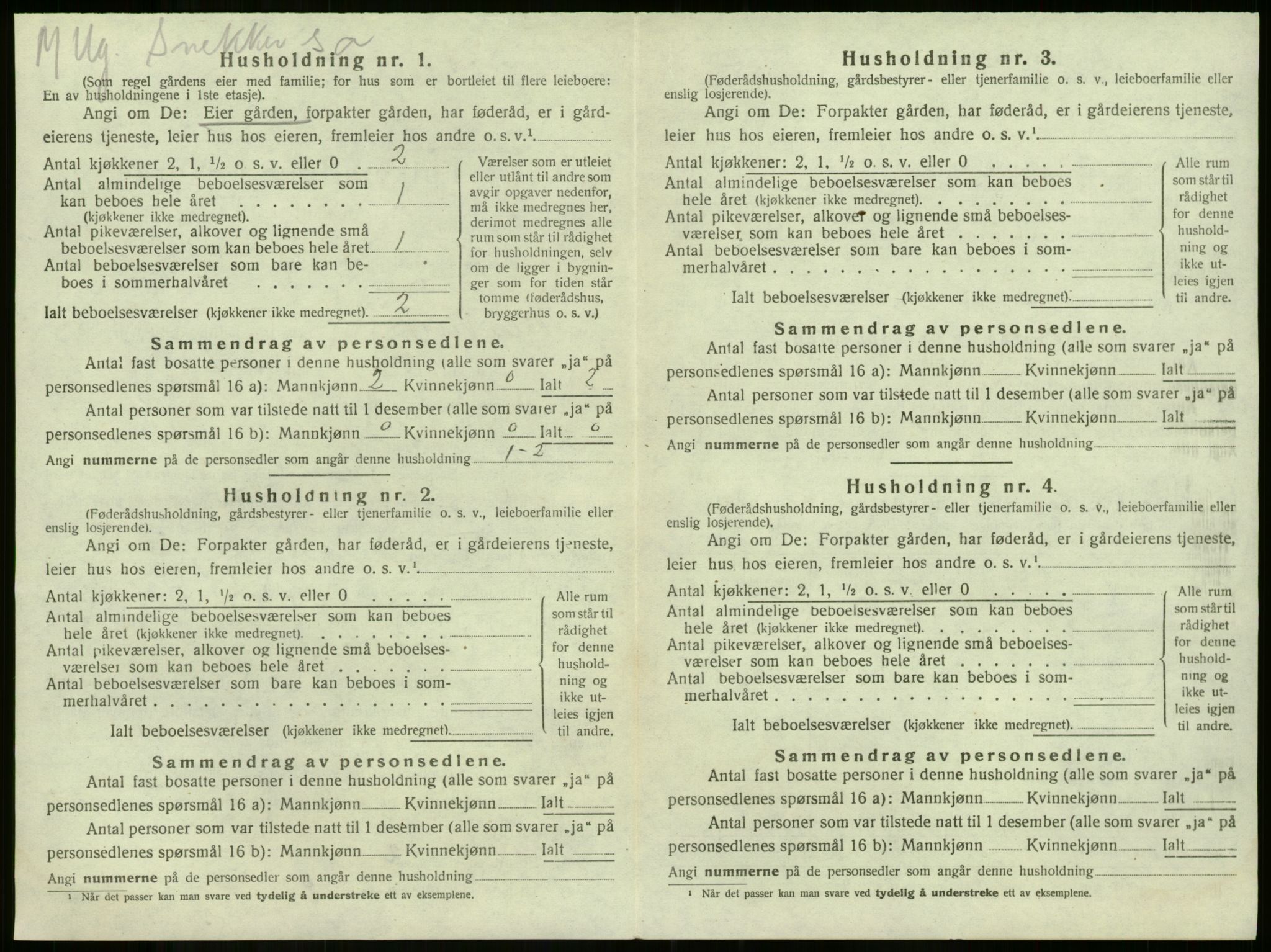 SAKO, 1920 census for Våle, 1920, p. 1029