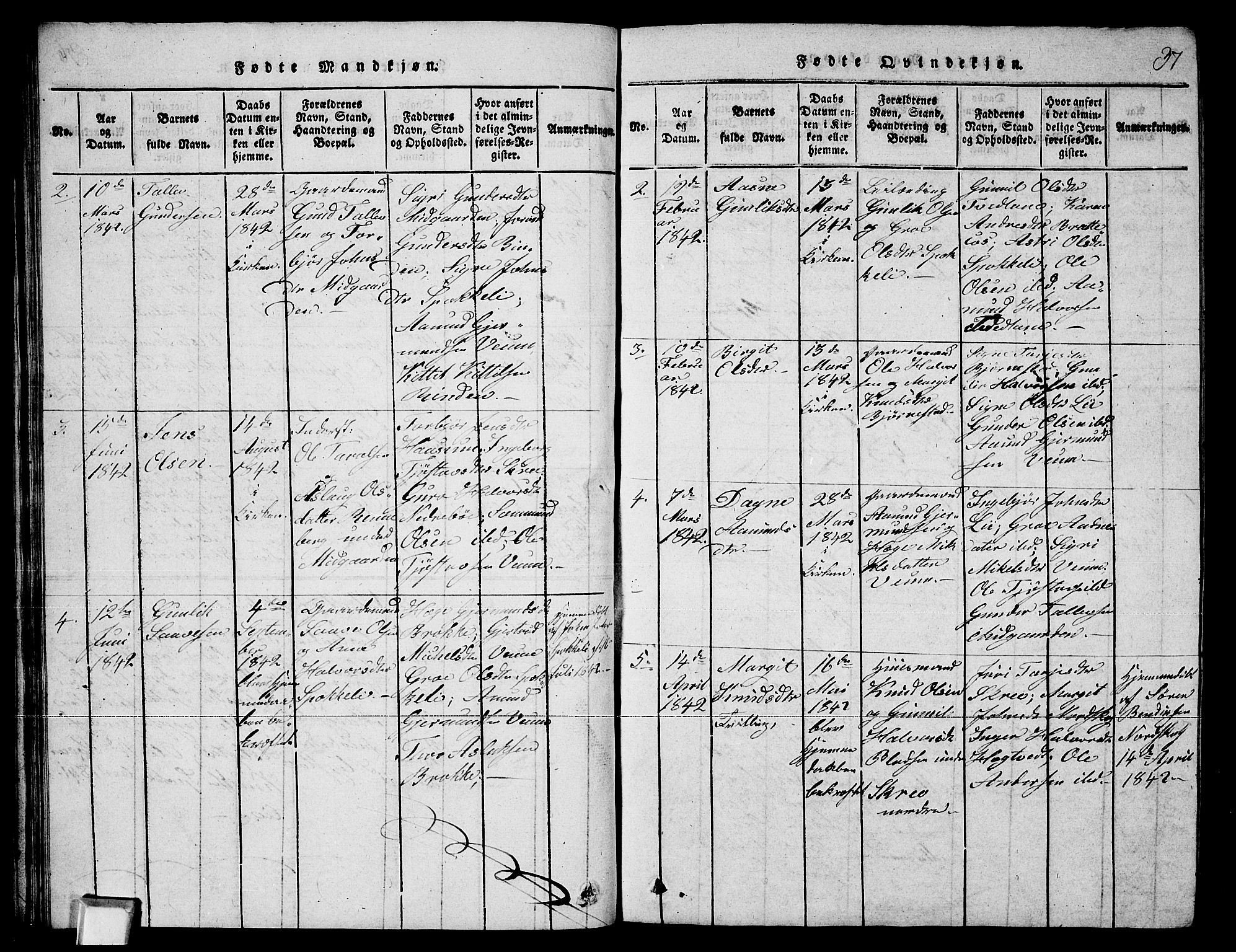 Fyresdal kirkebøker, SAKO/A-263/G/Ga/L0003: Parish register (copy) no. I 3, 1815-1863, p. 37