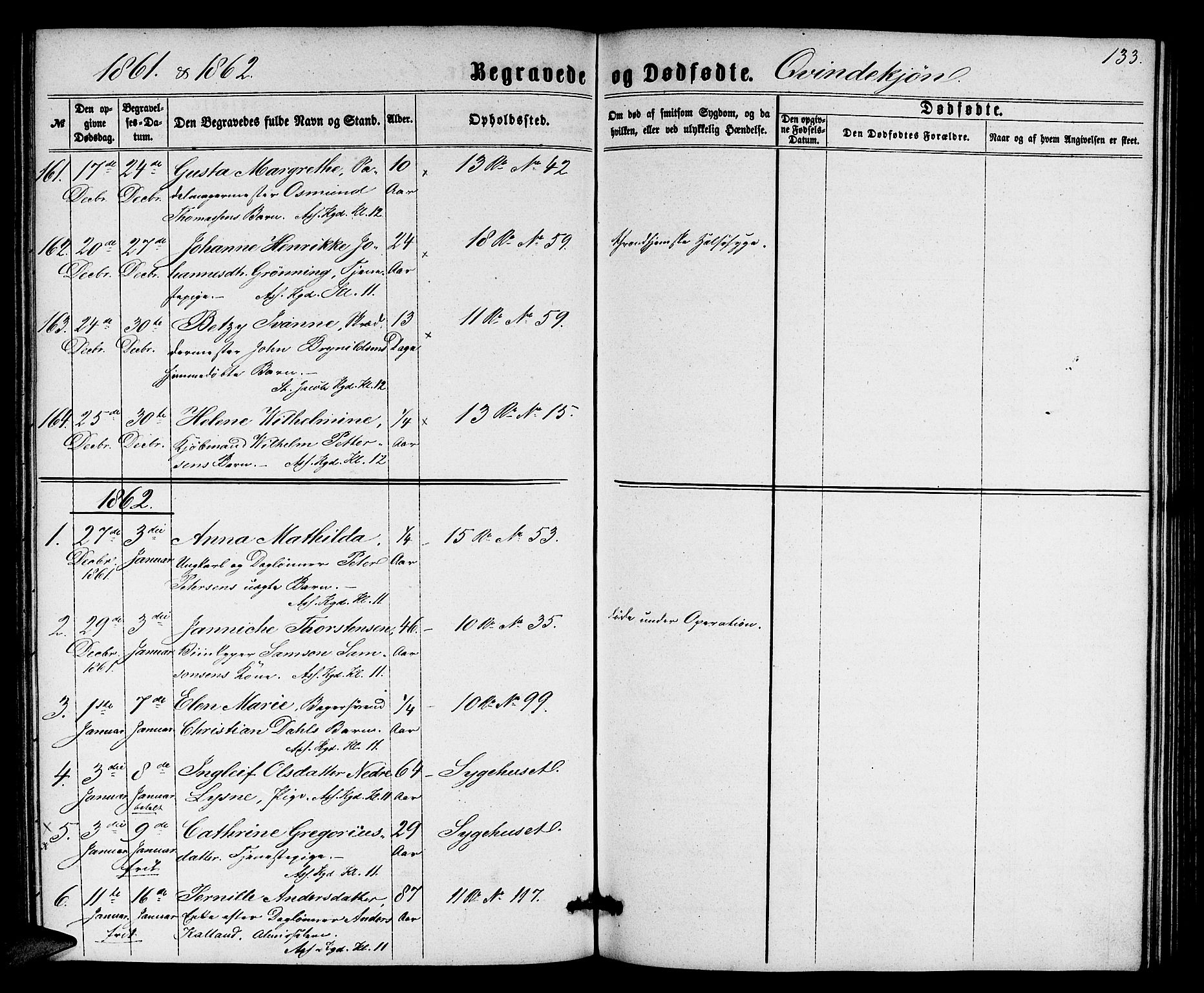 Domkirken sokneprestembete, SAB/A-74801/H/Hab/L0039: Parish register (copy) no. E 3, 1860-1868, p. 133