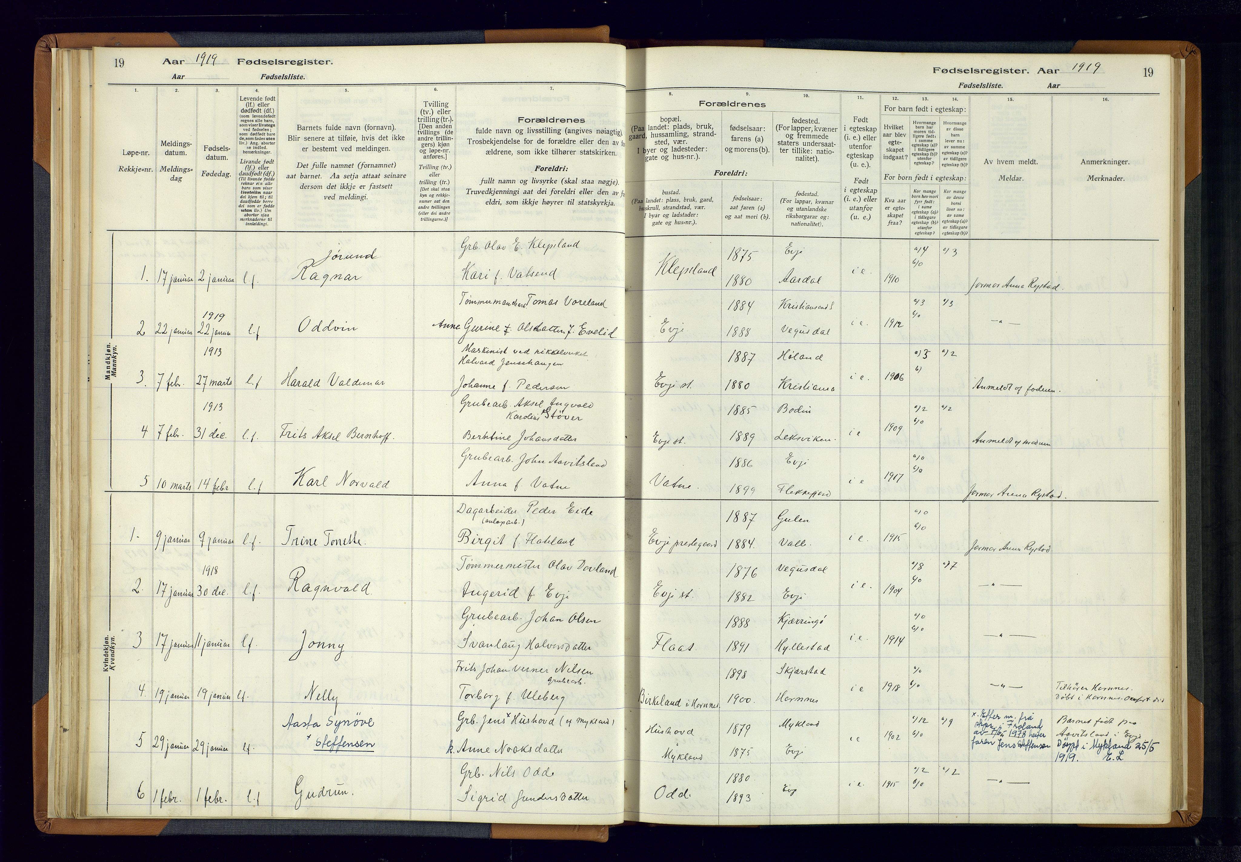 Evje sokneprestkontor, AV/SAK-1111-0008/J/Jc/L0004: Birth register no. 4, 1916-1968, p. 19