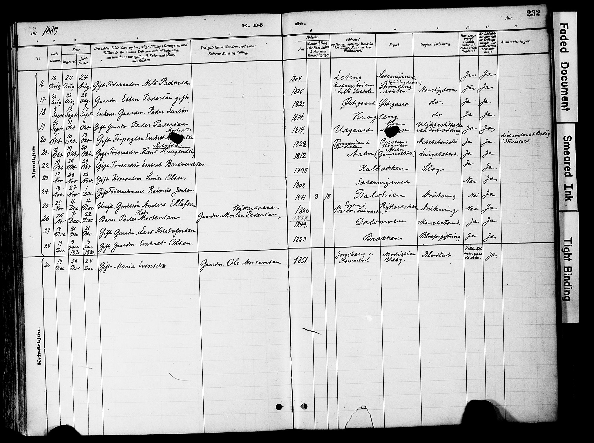 Tynset prestekontor, AV/SAH-PREST-058/H/Ha/Haa/L0022: Parish register (official) no. 22, 1880-1899, p. 232