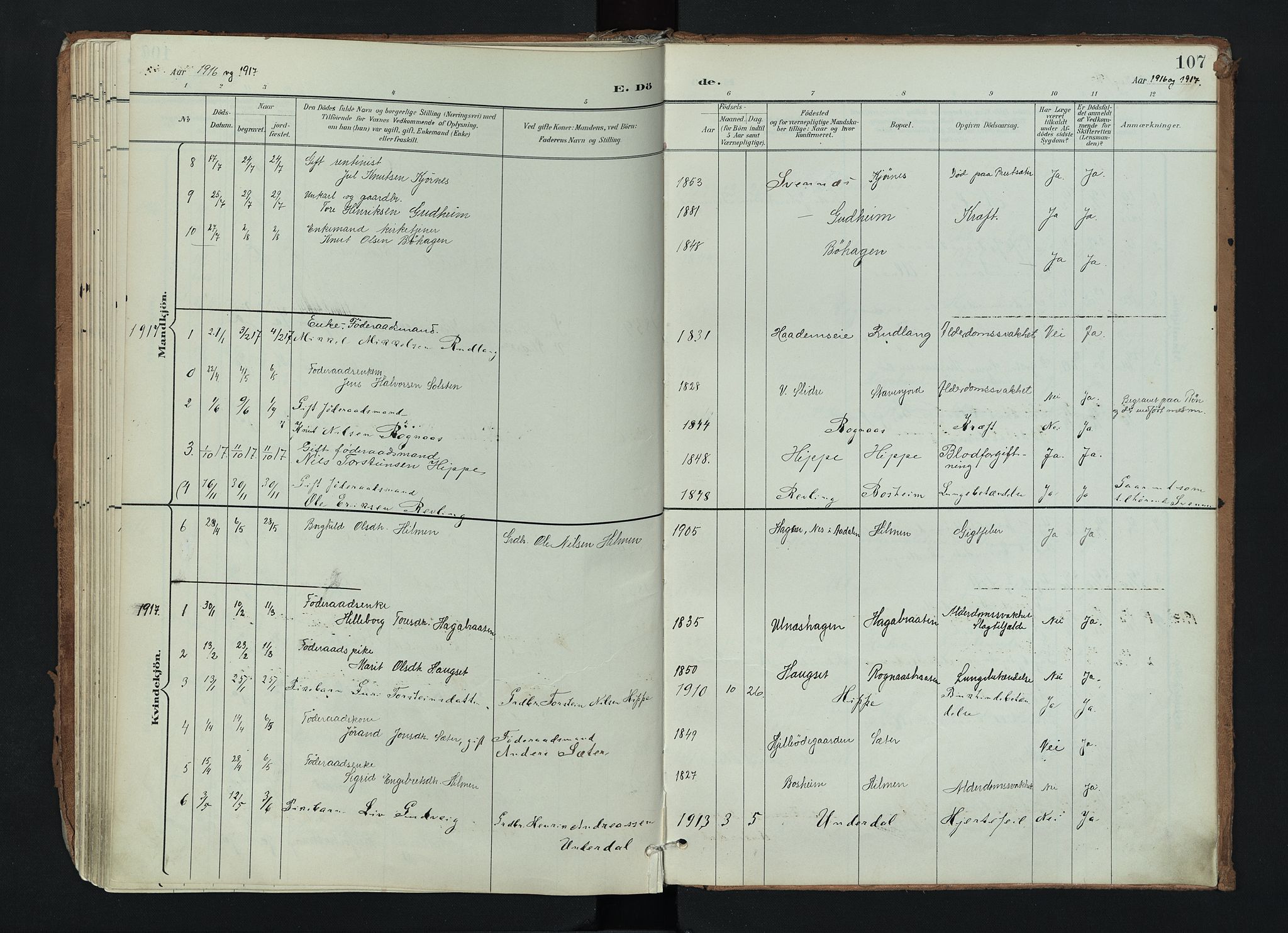 Nord-Aurdal prestekontor, SAH/PREST-132/H/Ha/Haa/L0017: Parish register (official) no. 17, 1897-1926, p. 107