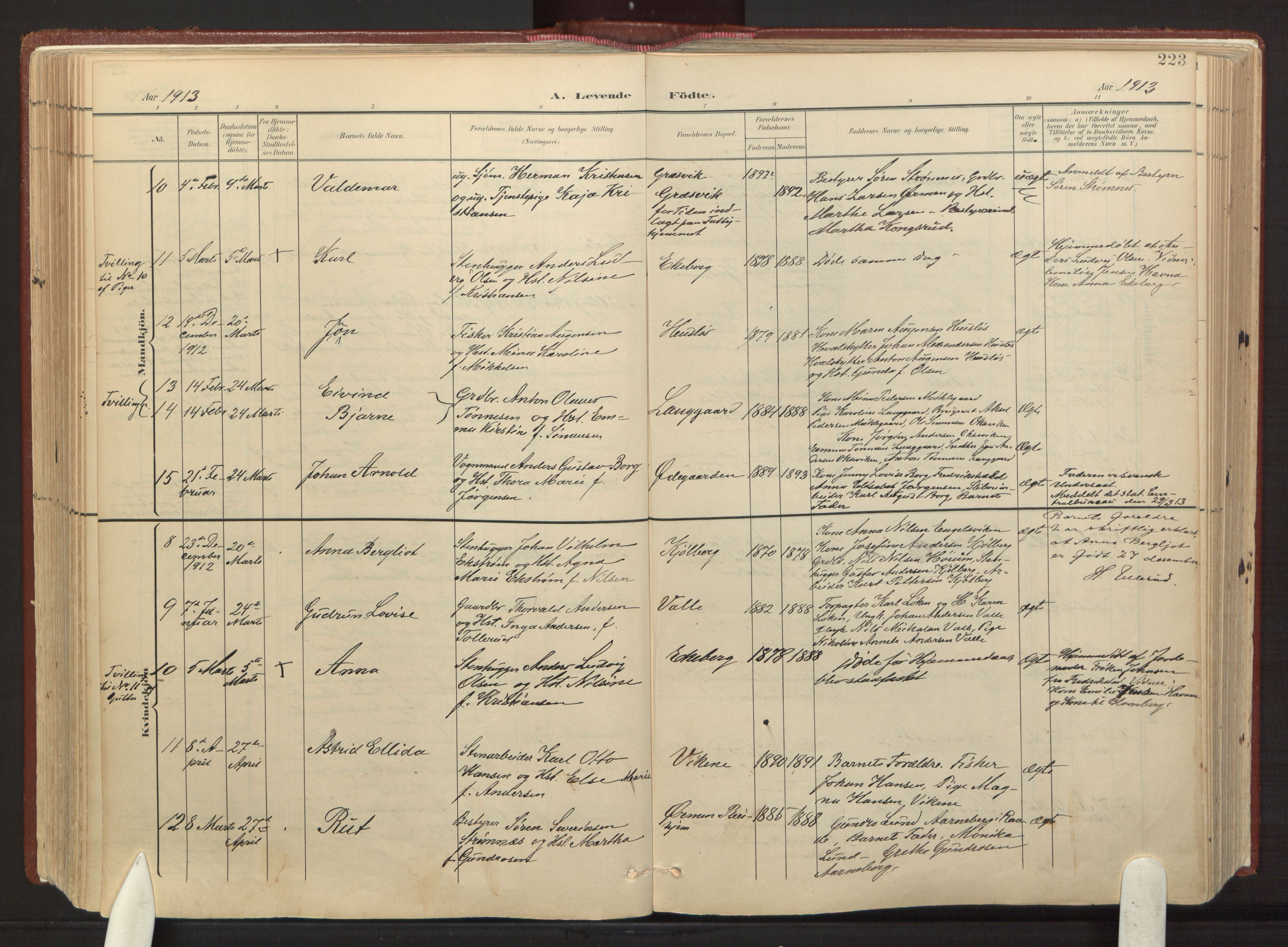 Onsøy prestekontor Kirkebøker, AV/SAO-A-10914/F/Fa/L0008: Parish register (official) no. I 8, 1899-1923, p. 223