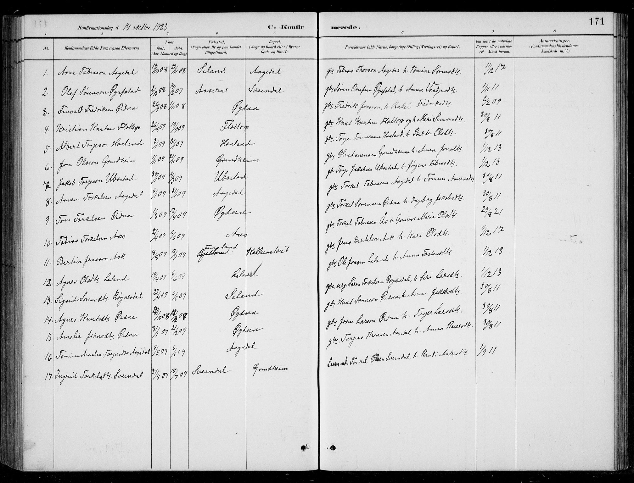 Bjelland sokneprestkontor, SAK/1111-0005/F/Fb/Fbc/L0003: Parish register (copy) no. B 3, 1887-1924, p. 171
