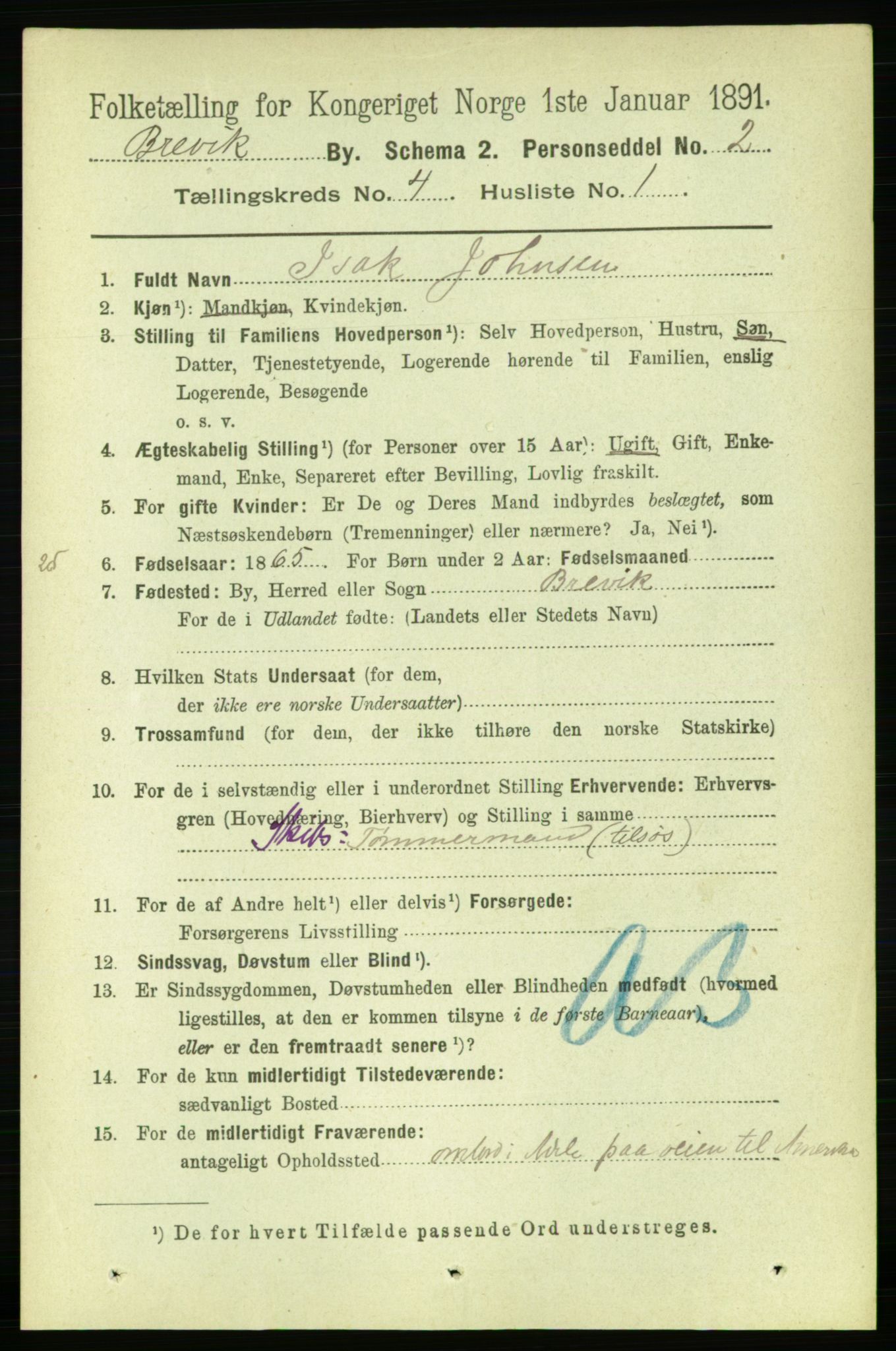 RA, 1891 census for 0804 Brevik, 1891, p. 2700