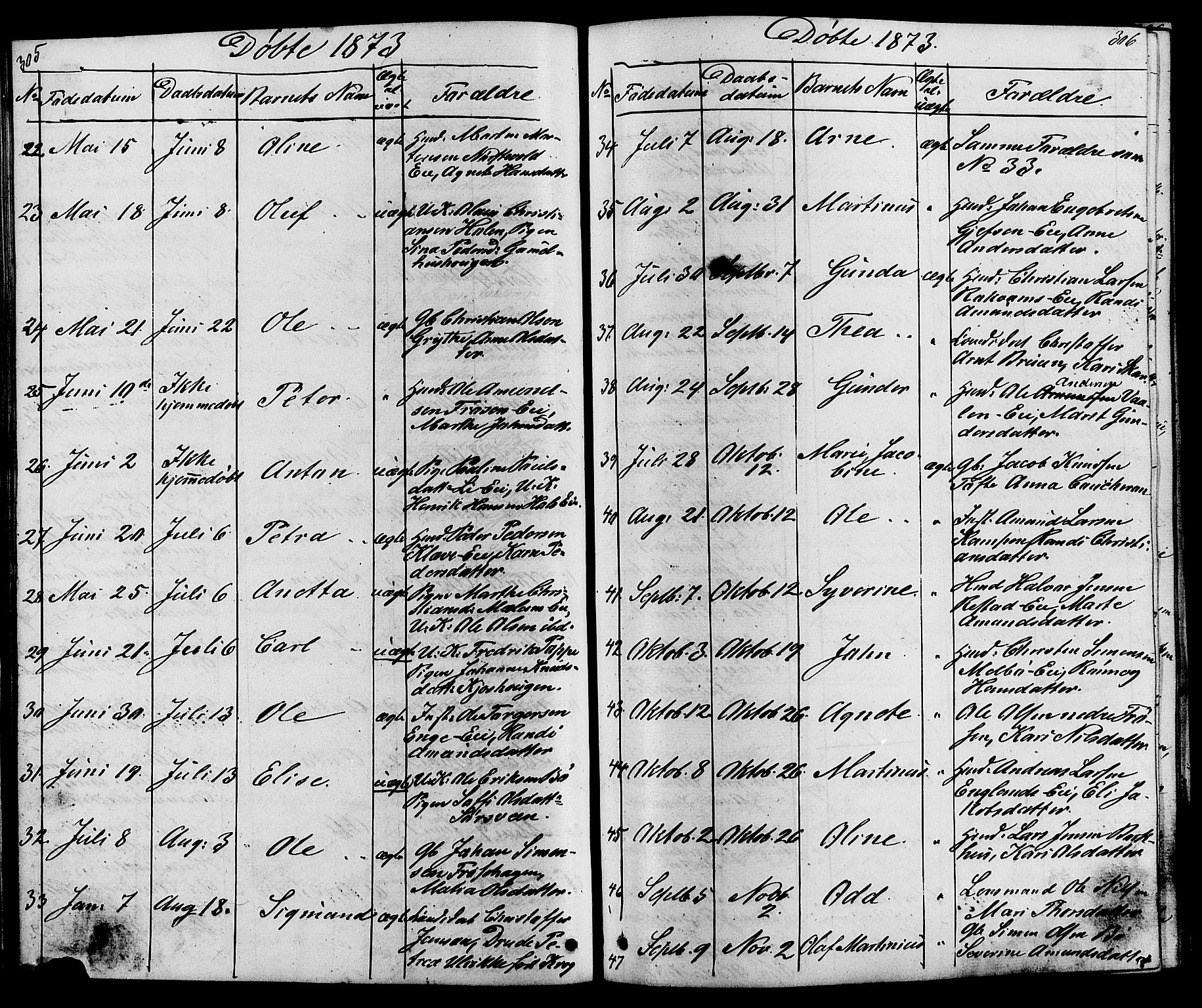 Østre Gausdal prestekontor, SAH/PREST-092/H/Ha/Hab/L0001: Parish register (copy) no. 1, 1863-1893, p. 305-306