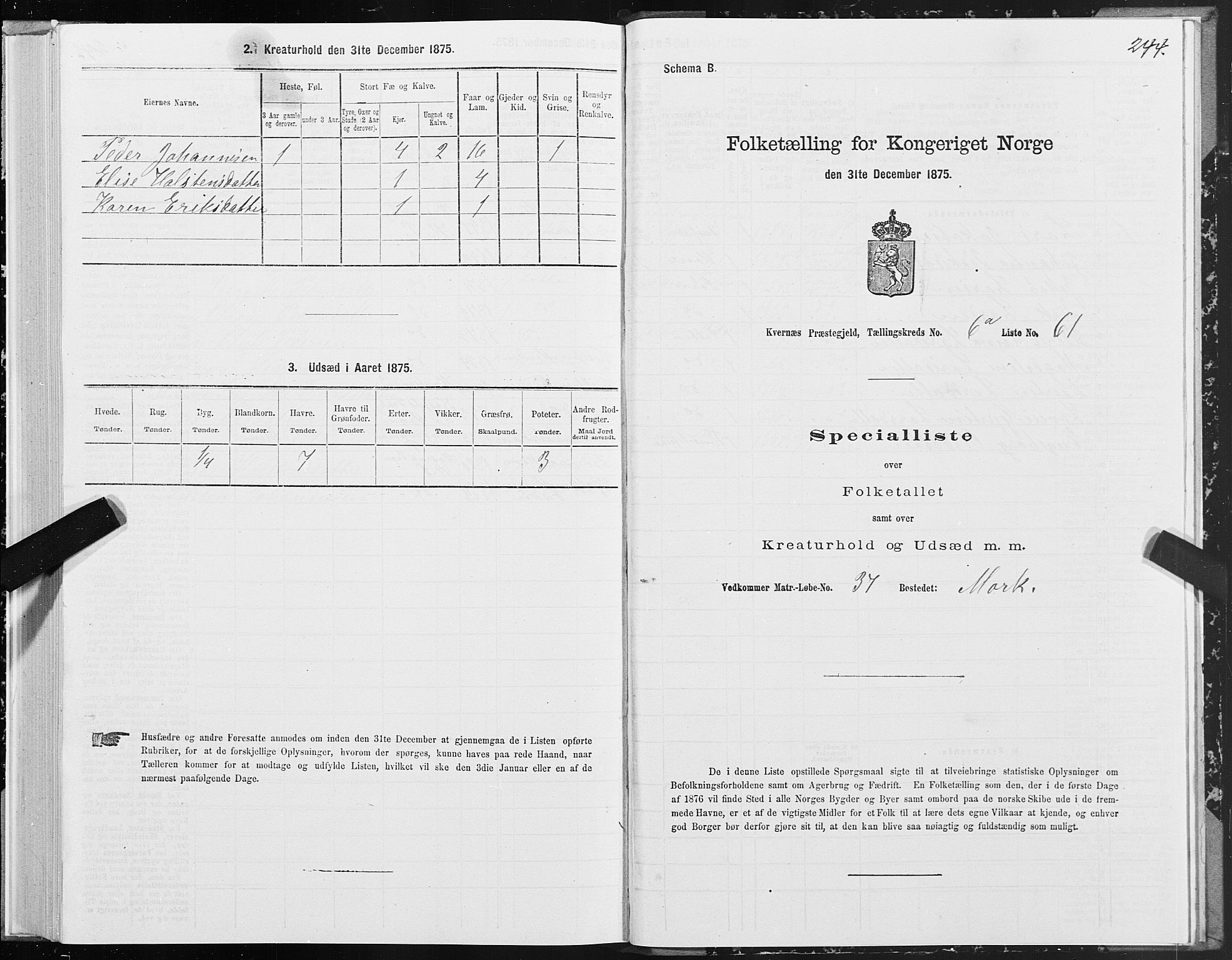 SAT, 1875 census for 1553P Kvernes, 1875, p. 3244