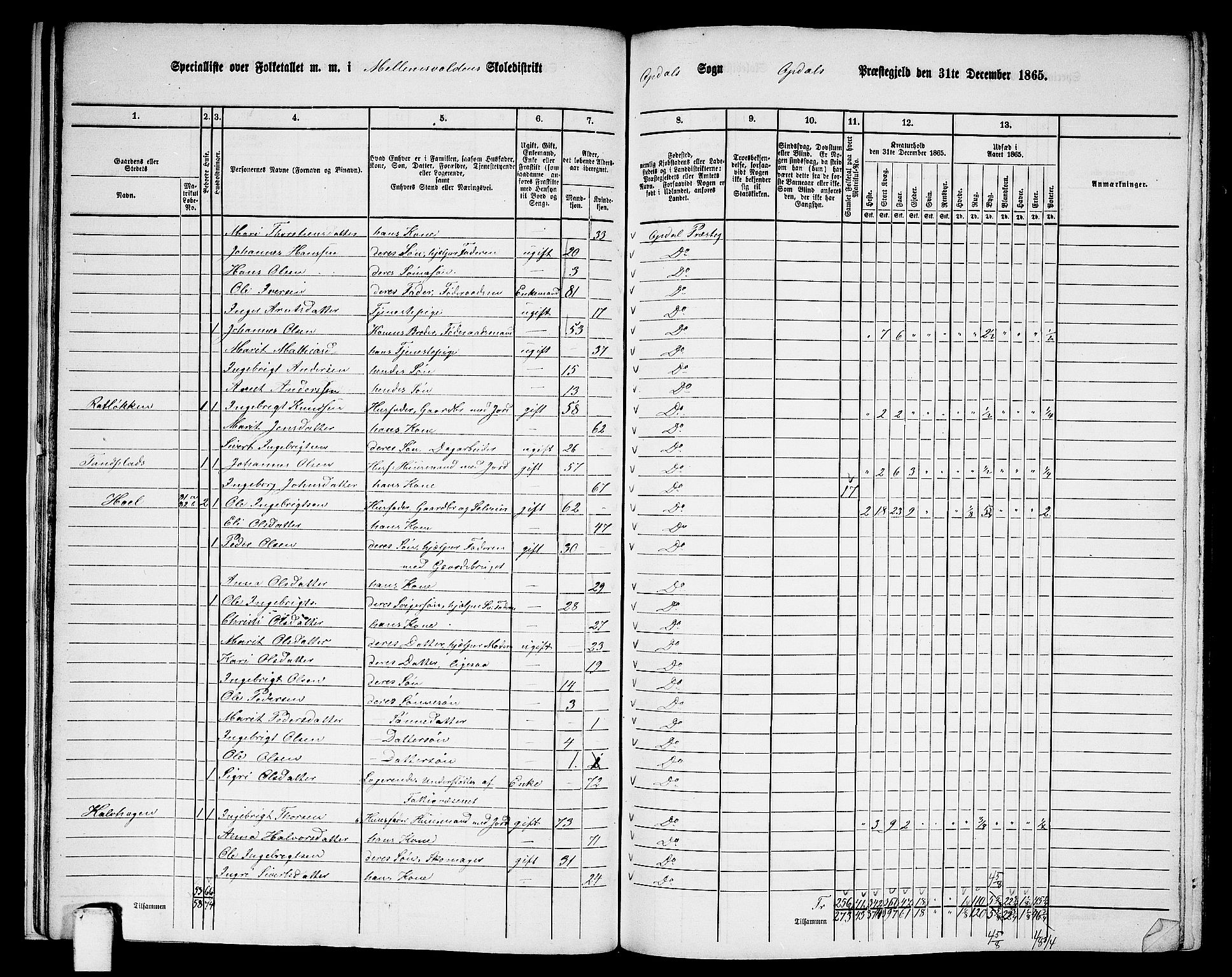 RA, 1865 census for Oppdal, 1865, p. 24