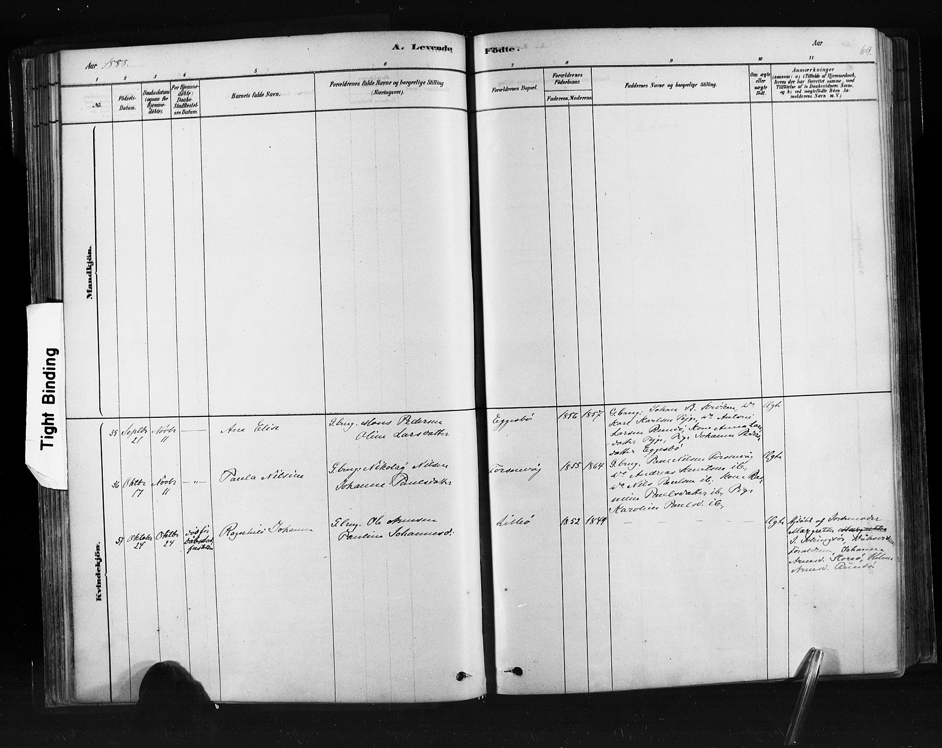 Ministerialprotokoller, klokkerbøker og fødselsregistre - Møre og Romsdal, SAT/A-1454/507/L0073: Parish register (official) no. 507A08, 1878-1904, p. 69