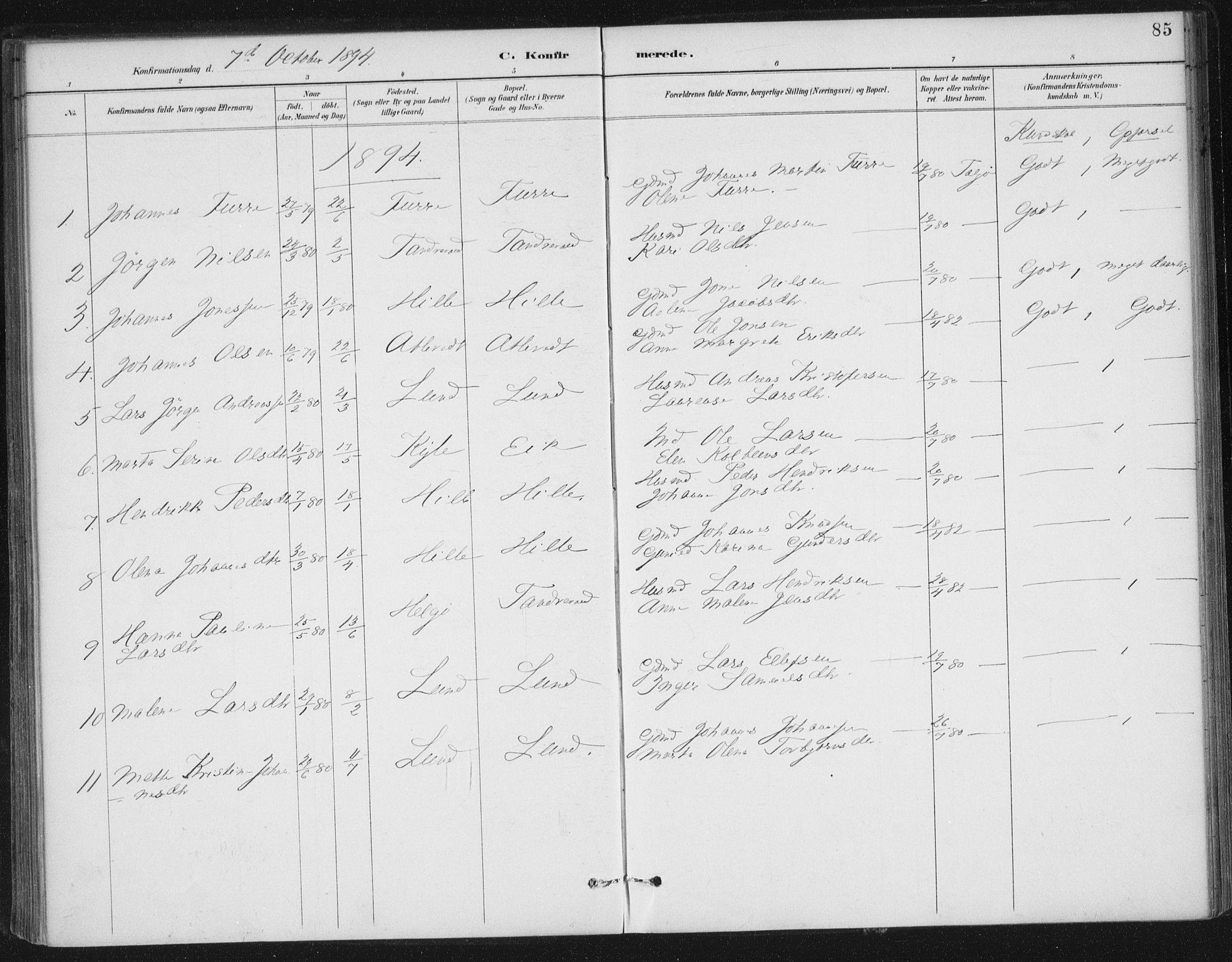 Nedstrand sokneprestkontor, AV/SAST-A-101841/01/IV: Parish register (official) no. A 13, 1887-1915, p. 85