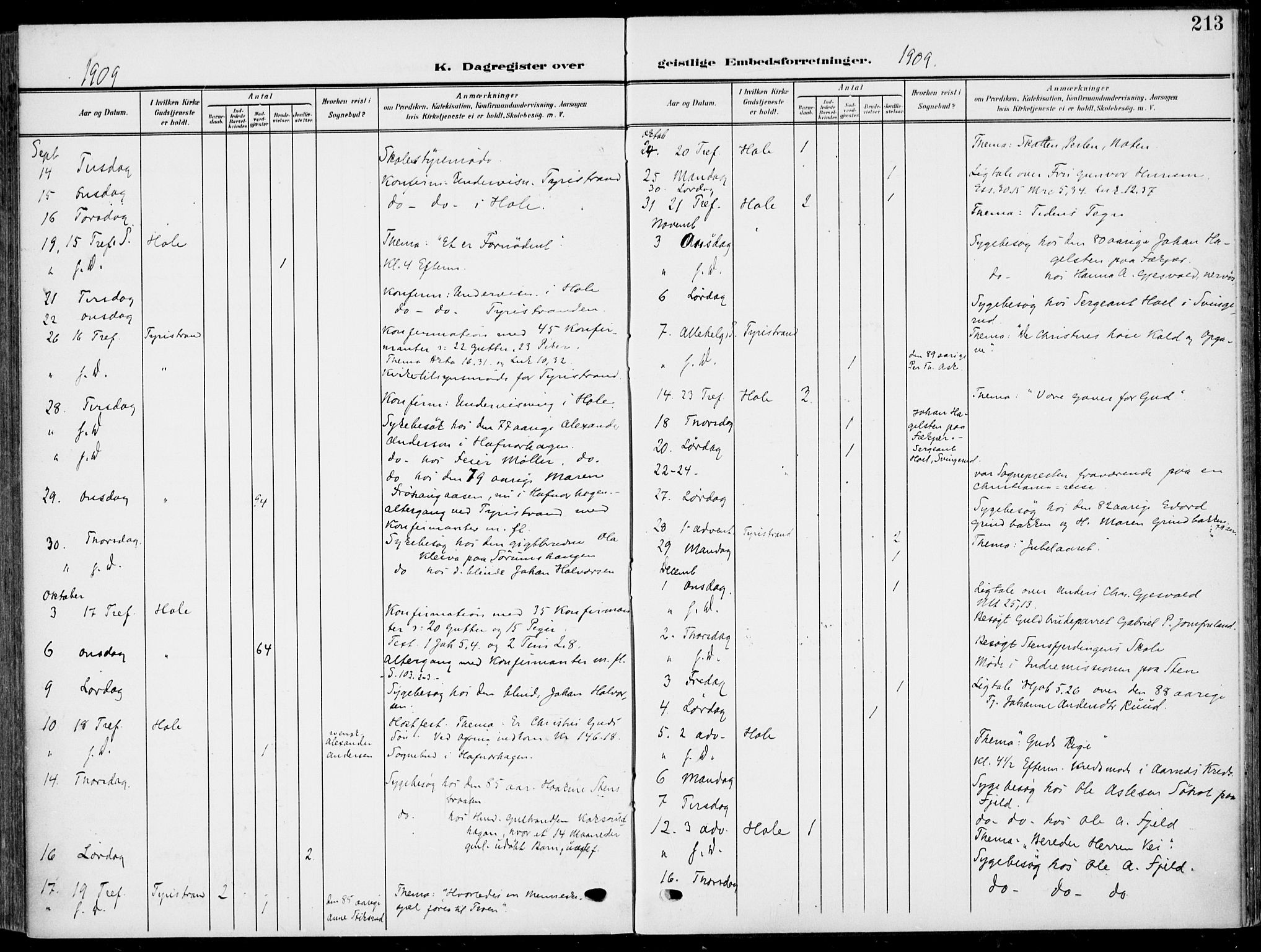 Hole kirkebøker, AV/SAKO-A-228/F/Fa/L0010: Parish register (official) no. I 10, 1907-1917, p. 213