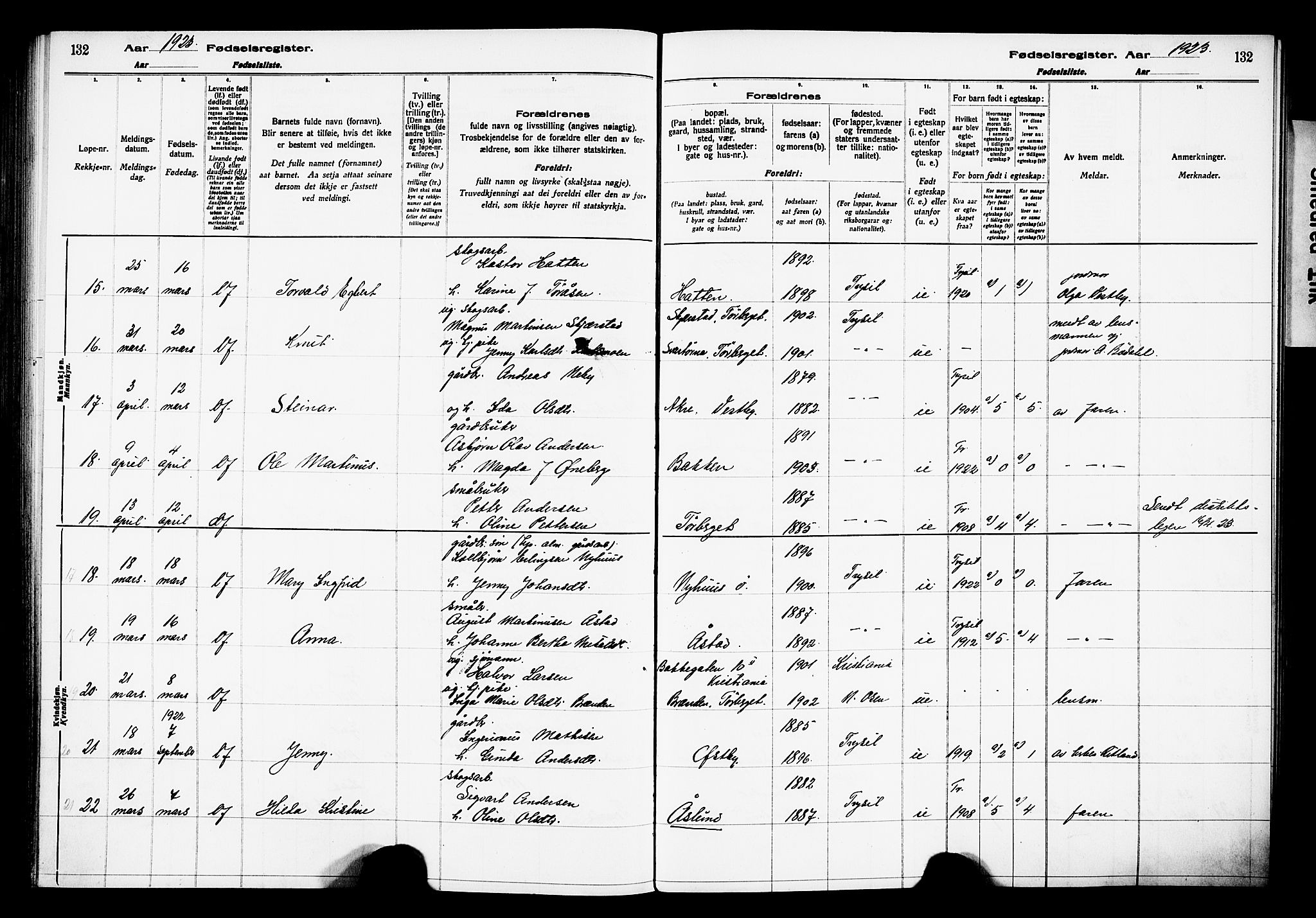 Trysil prestekontor, AV/SAH-PREST-046/I/Id/Ida/L0001: Birth register no. I 1, 1916-1927, p. 132