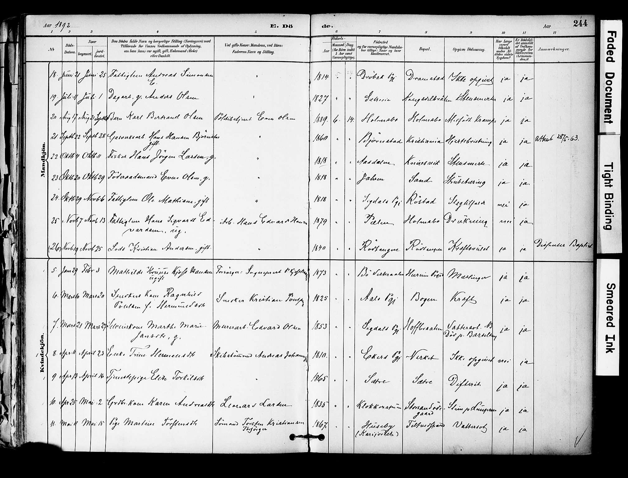 Hurum kirkebøker, AV/SAKO-A-229/F/Fa/L0014: Parish register (official) no. 14, 1882-1895, p. 244