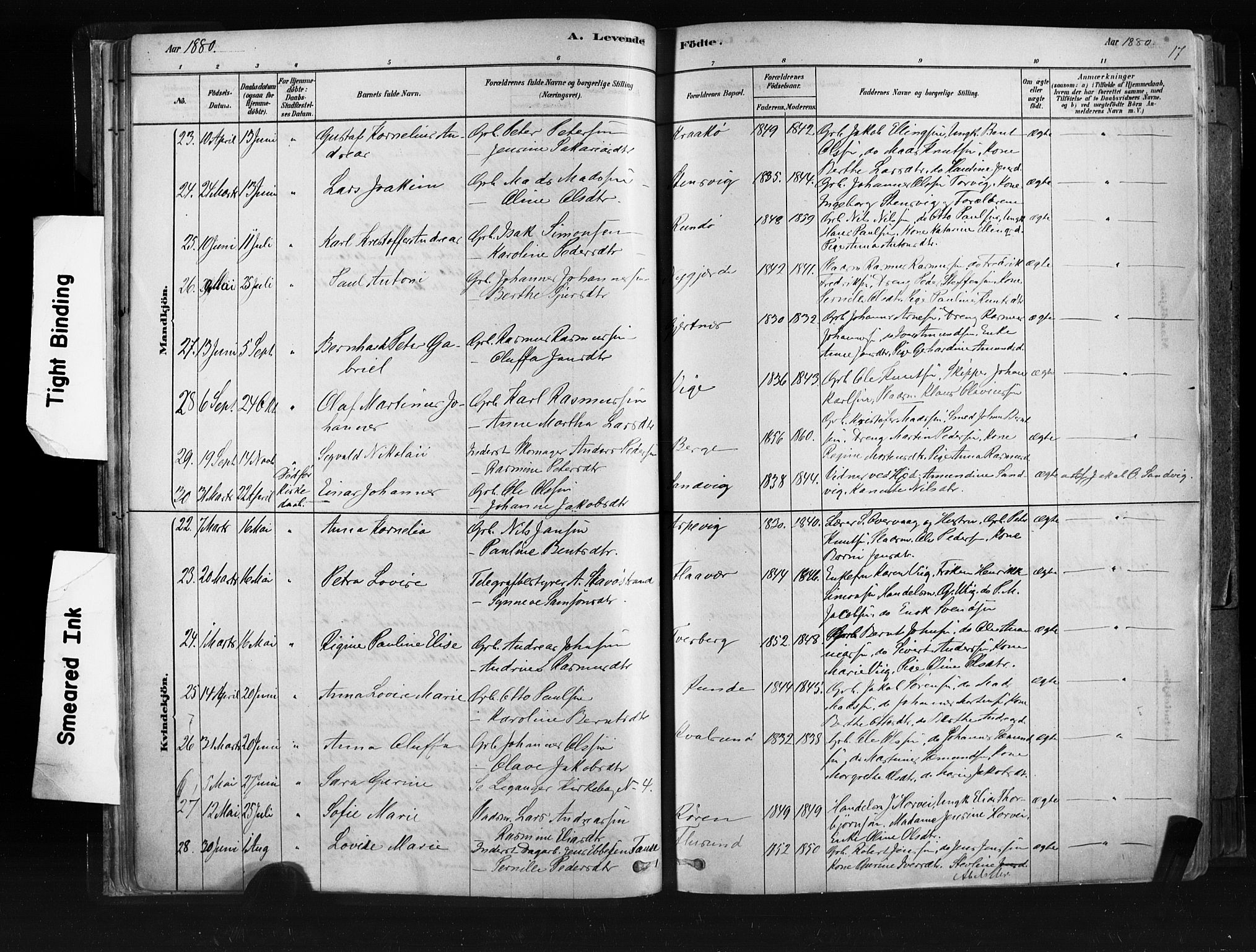 Ministerialprotokoller, klokkerbøker og fødselsregistre - Møre og Romsdal, AV/SAT-A-1454/507/L0073: Parish register (official) no. 507A08, 1878-1904, p. 17