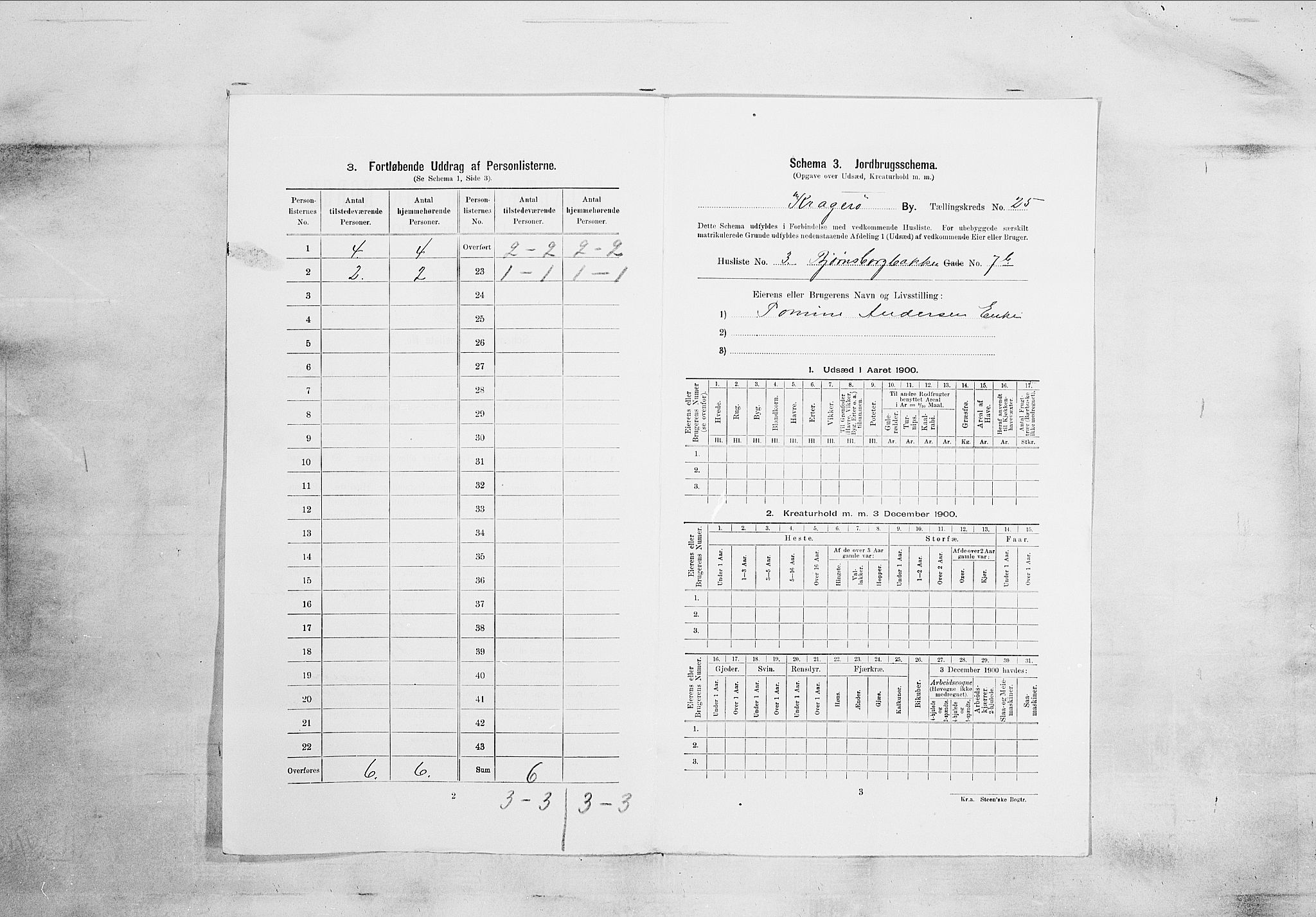 SAKO, 1900 census for Kragerø, 1900, p. 3016