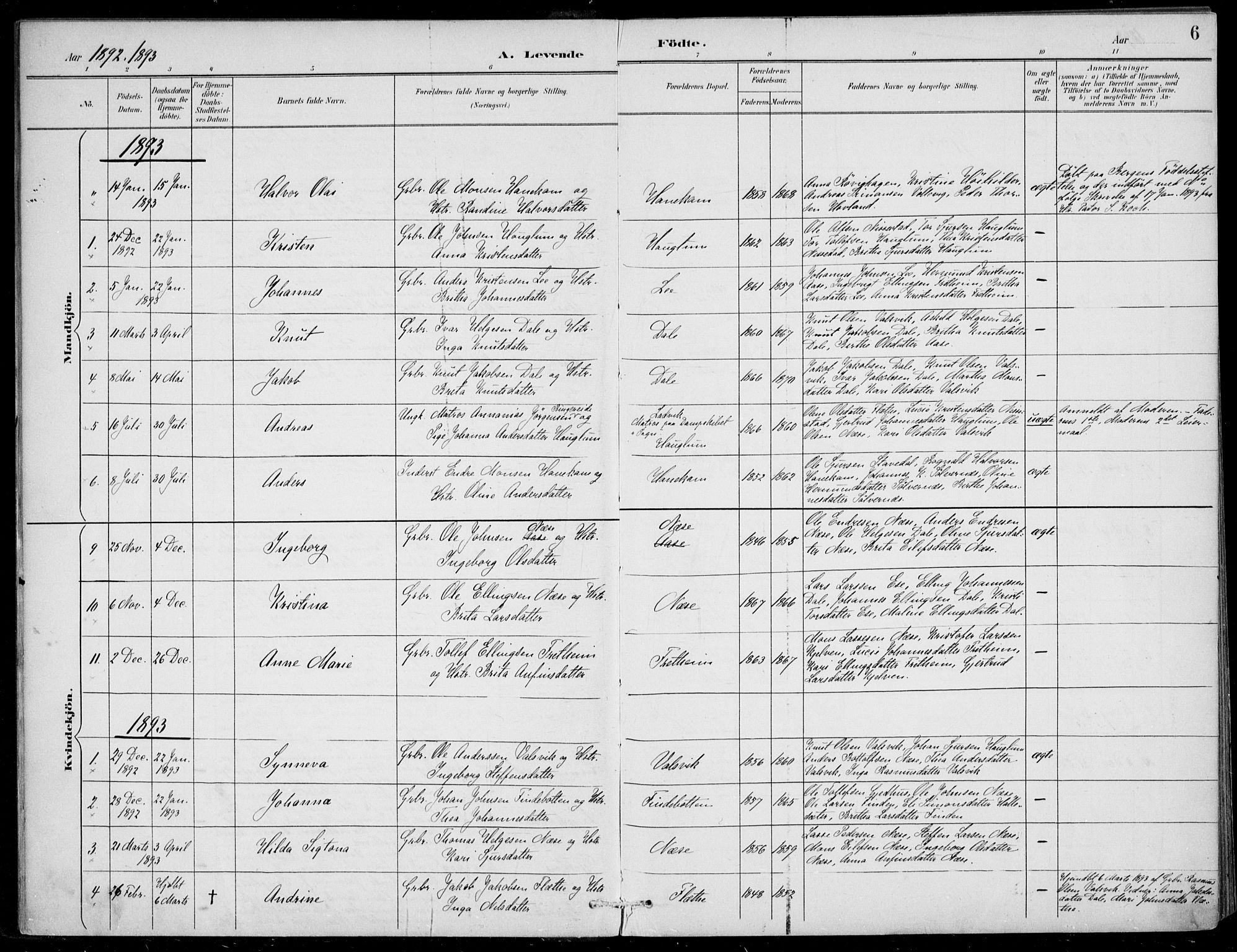 Vik sokneprestembete, AV/SAB-A-81501/H/Haa/Haac/L0002: Parish register (official) no. C  2, 1891-1910, p. 6