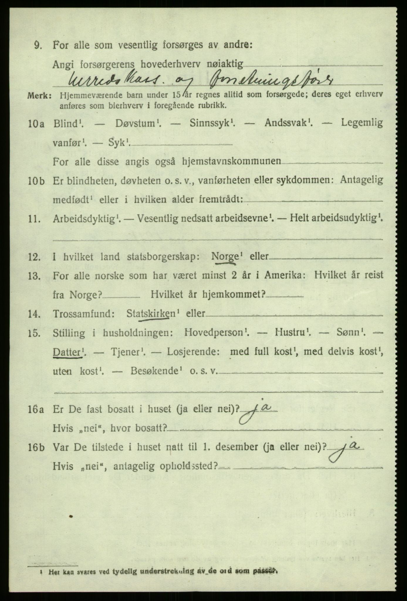 SAB, 1920 census for Lærdal, 1920, p. 3163