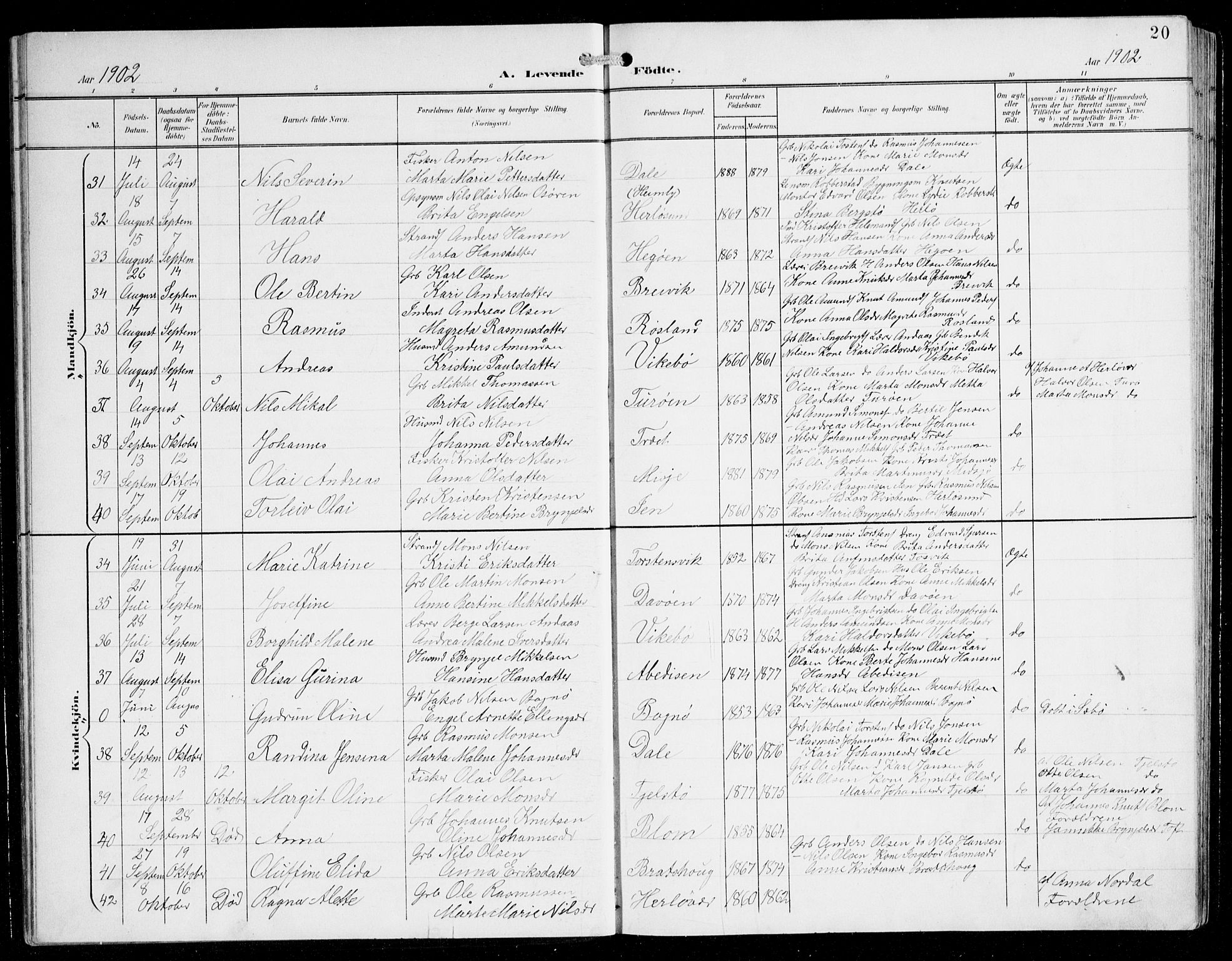 Herdla Sokneprestembete, AV/SAB-A-75701/H/Hab: Parish register (copy) no. C 1, 1900-1913, p. 20