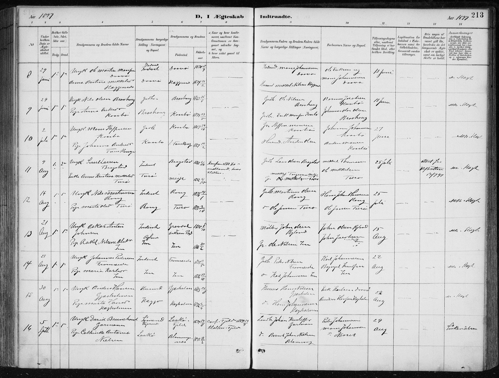 Herdla Sokneprestembete, SAB/A-75701/H/Haa: Parish register (official) no. A 4, 1891-1905, p. 213