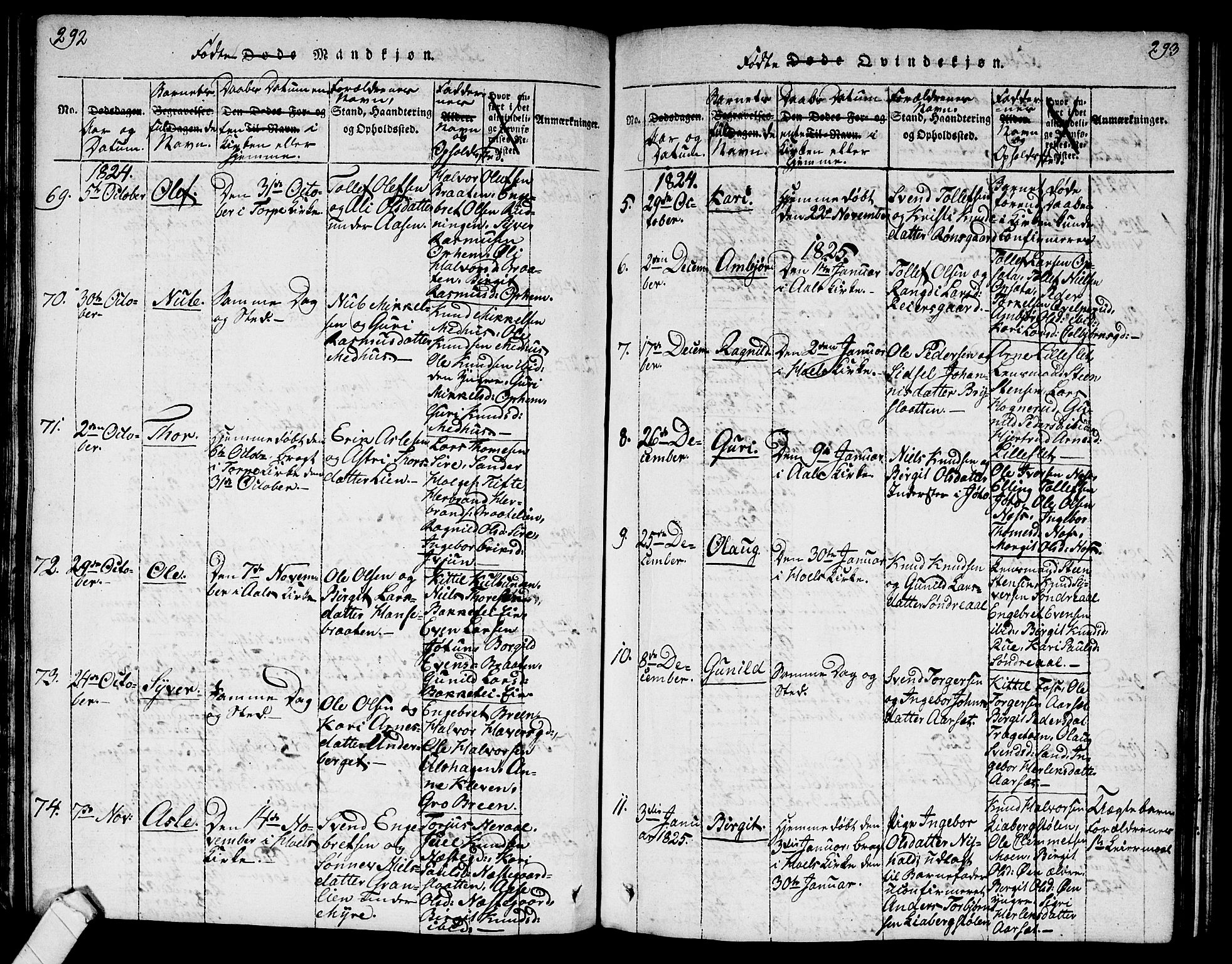 Ål kirkebøker, AV/SAKO-A-249/G/Ga/L0001: Parish register (copy) no. 1, 1815-1829, p. 292-293